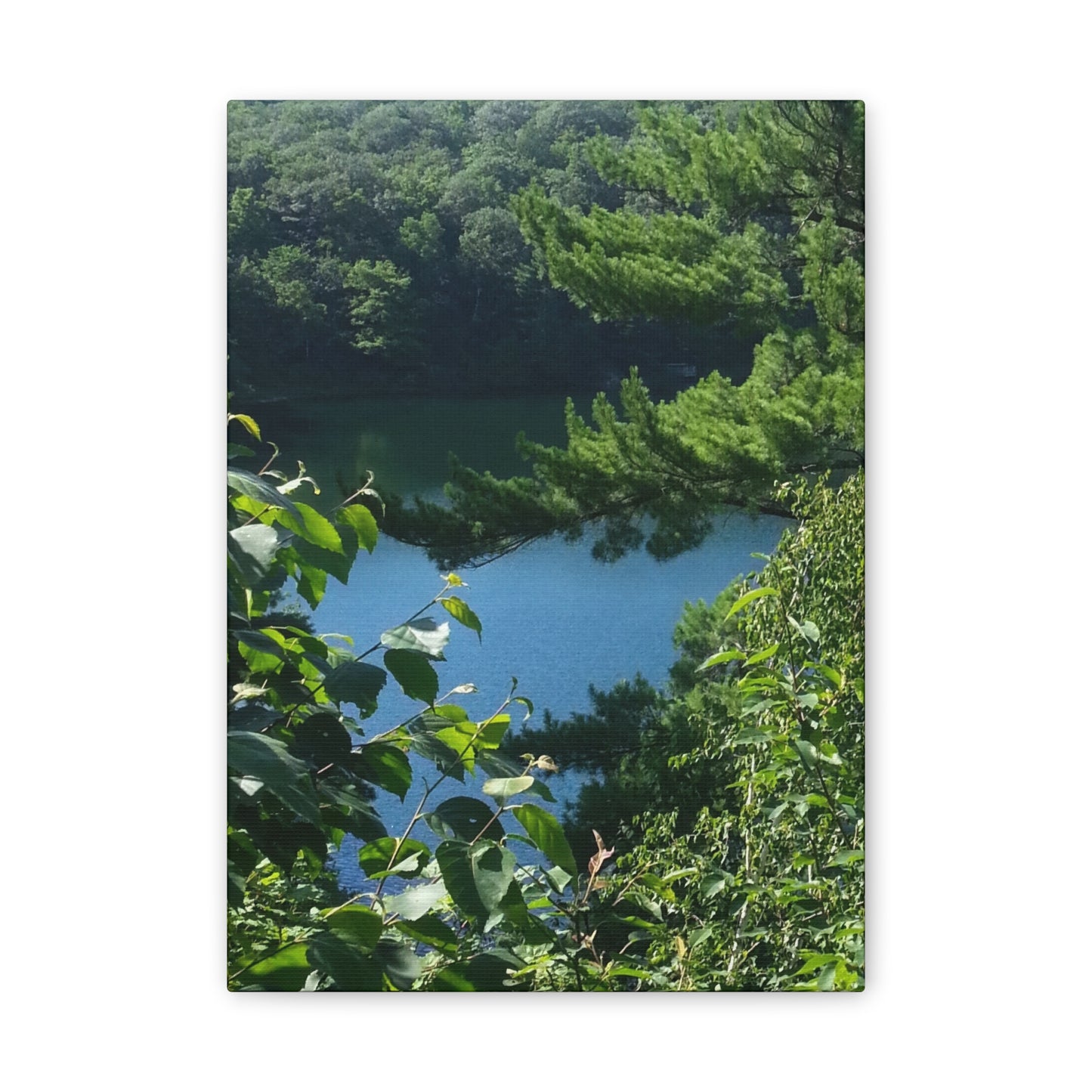 Nature-Inspired Canvases from an #originalphotograph of #PinkLake in Ontario - 0.75" Stretched Nature Wall Decor