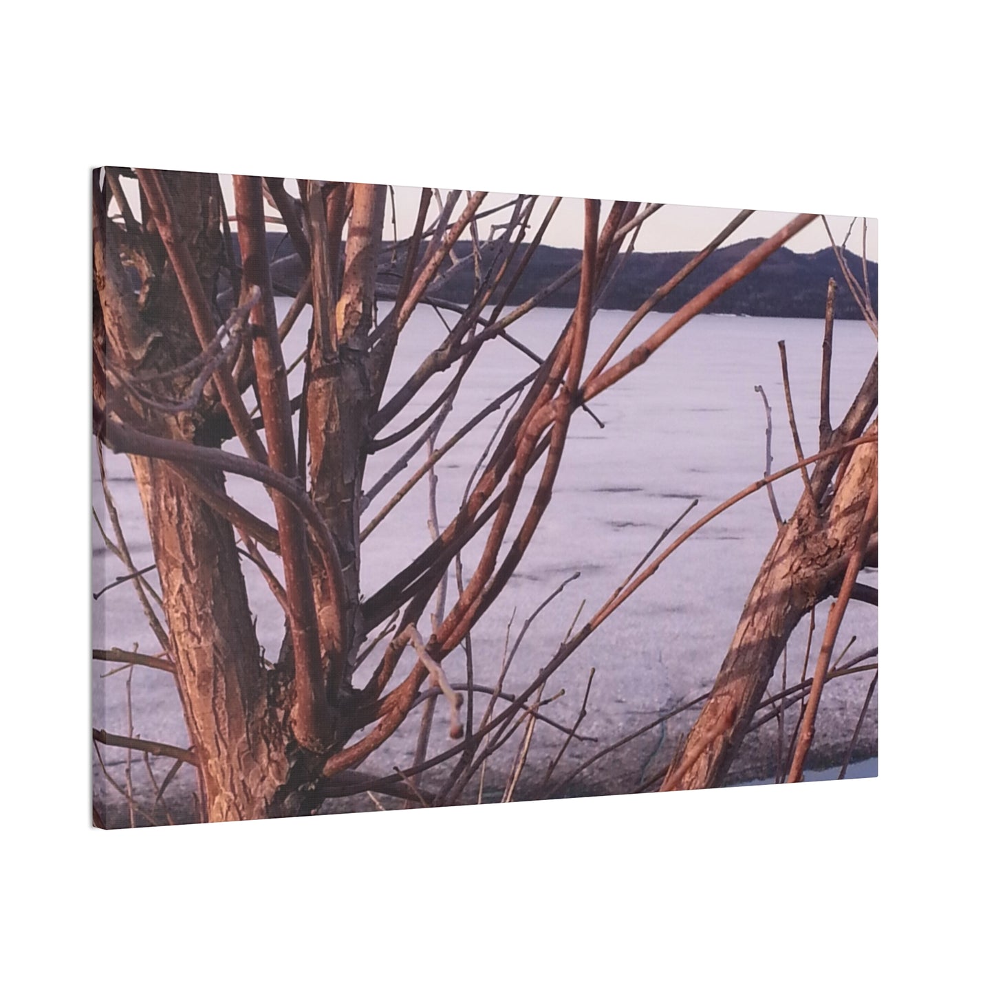 Nature-Inspired Canvases from an #originalphotograph of a Serene Lakeview with Bare Trees - 0.75" Stretched Nature Wall Decor