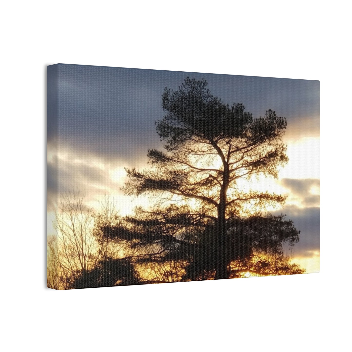 Nature-Inspired Canvases from an #originalphotograph of a Sunset Tree - 0.75" Stretched Nature Wall Decor