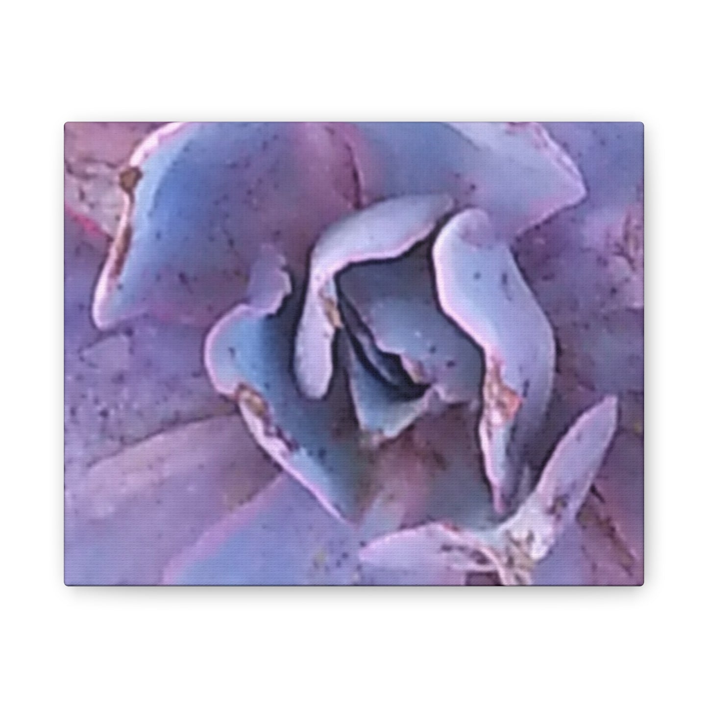 Nature-Inspired Canvases from an #originalphotograph of a botanical from #theGetty - 0.75" Stretched Nature Wall Decor