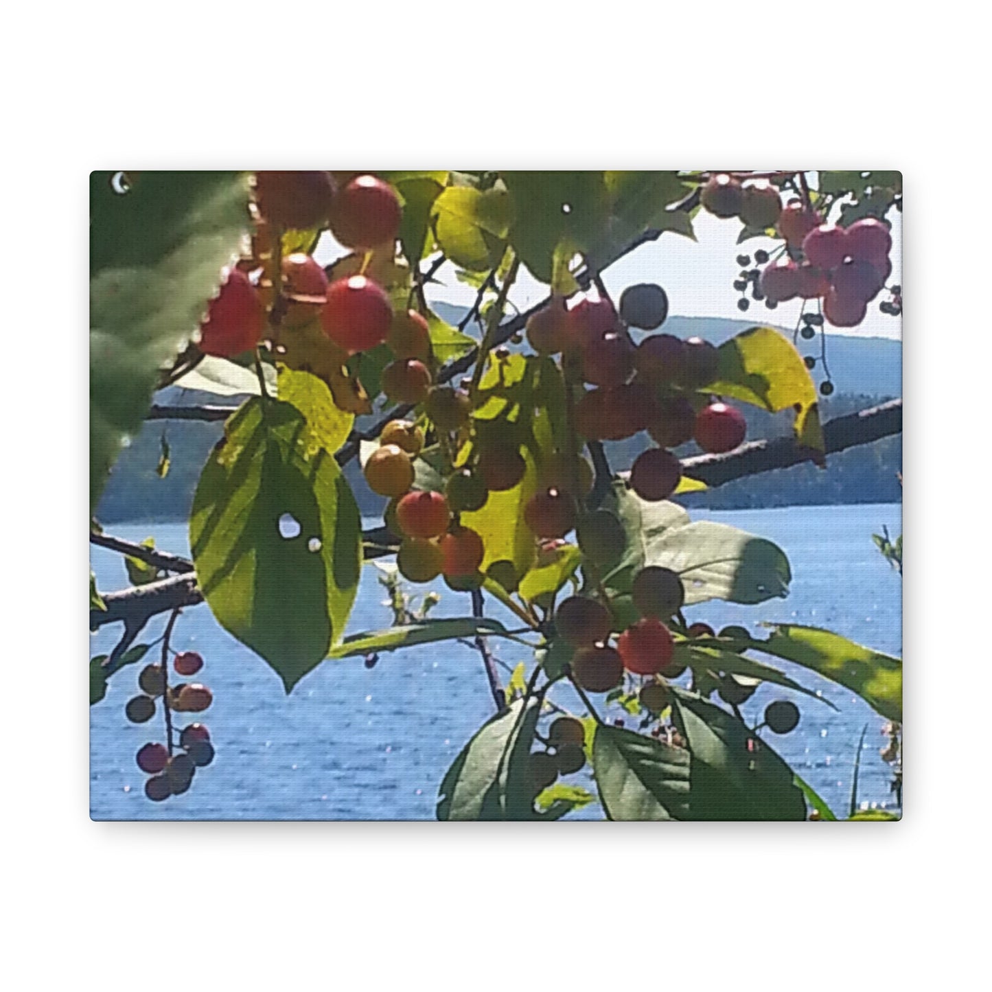 Nature-Inspired Canvases from an #originalphotograph of a Scenic Berry Branch - 0.75" Stretched Nature Wall Decor