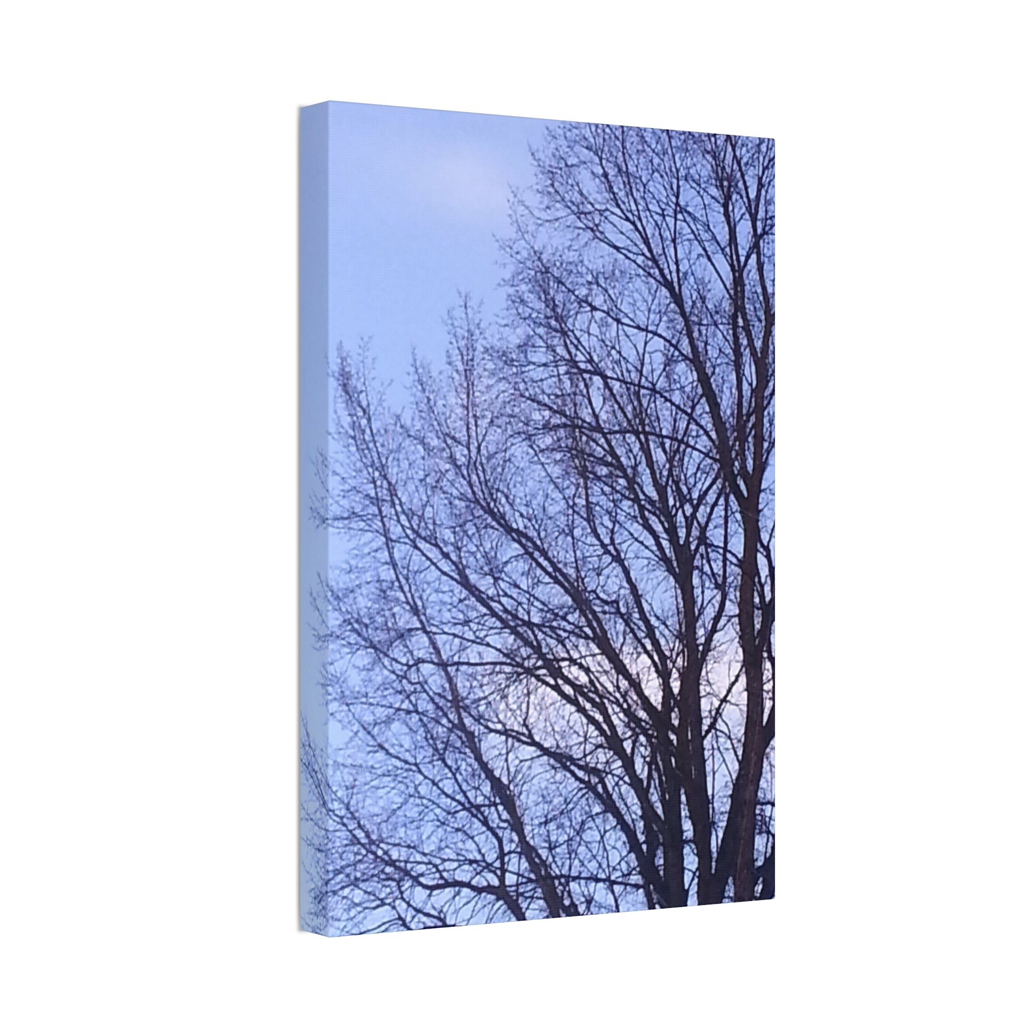Creative Spark | Isolated Woodland Wisdom Wall Art | The Nurture Collection