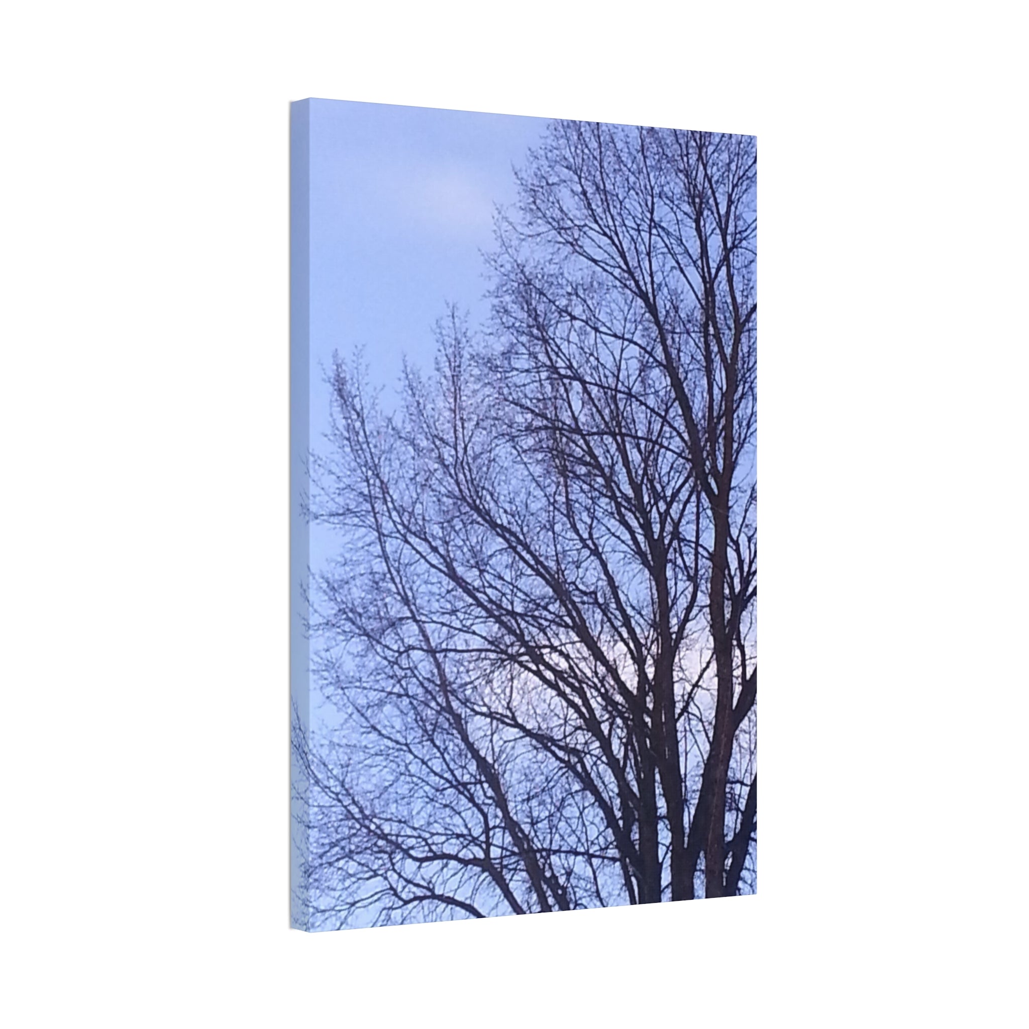 Creative Spark | Isolated Woodland Wisdom Wall Art | The Nurture Collection
