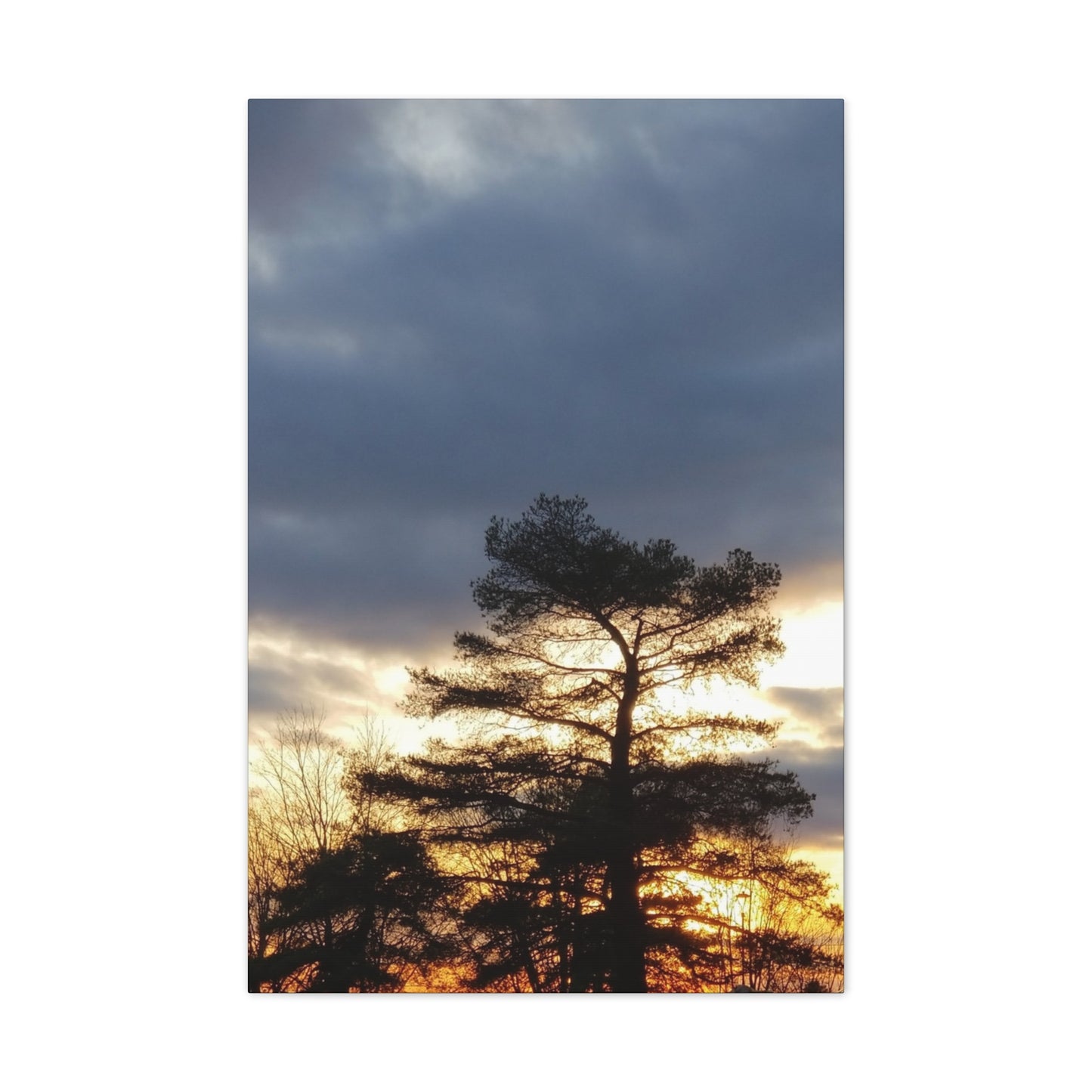Nature-Inspired Canvases from an #originalphotograph of a Sunset Tree - 0.75" Stretched Nature Wall Decor