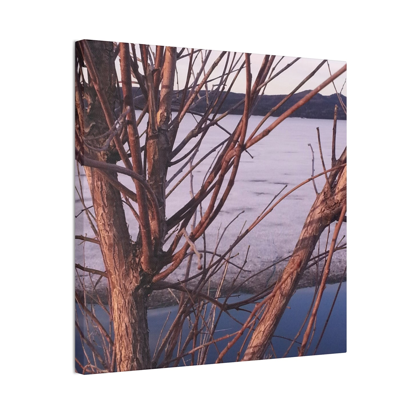 Nature-Inspired Canvases from an #originalphotograph of a Serene Lakeview with Bare Trees - 0.75" Stretched Nature Wall Decor