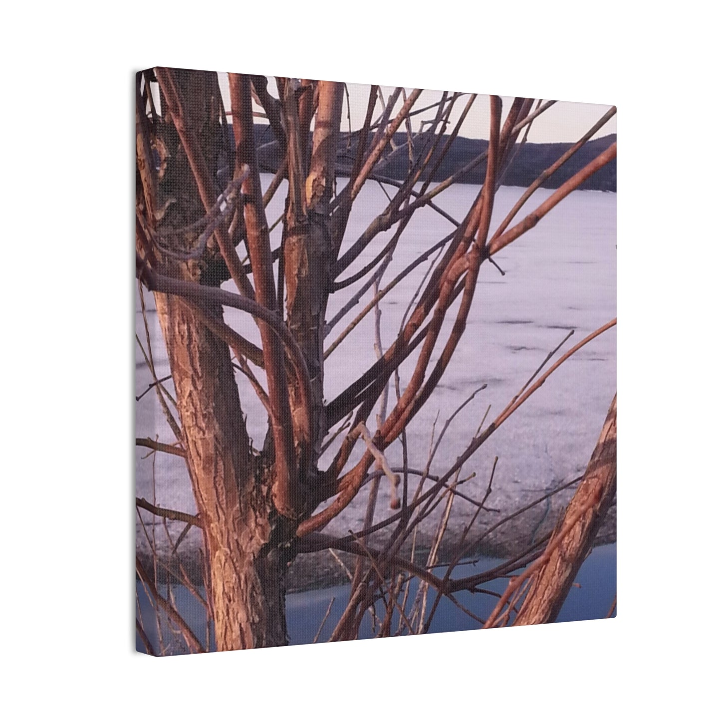 Nature-Inspired Canvases from an #originalphotograph of a Serene Lakeview with Bare Trees - 0.75" Stretched Nature Wall Decor