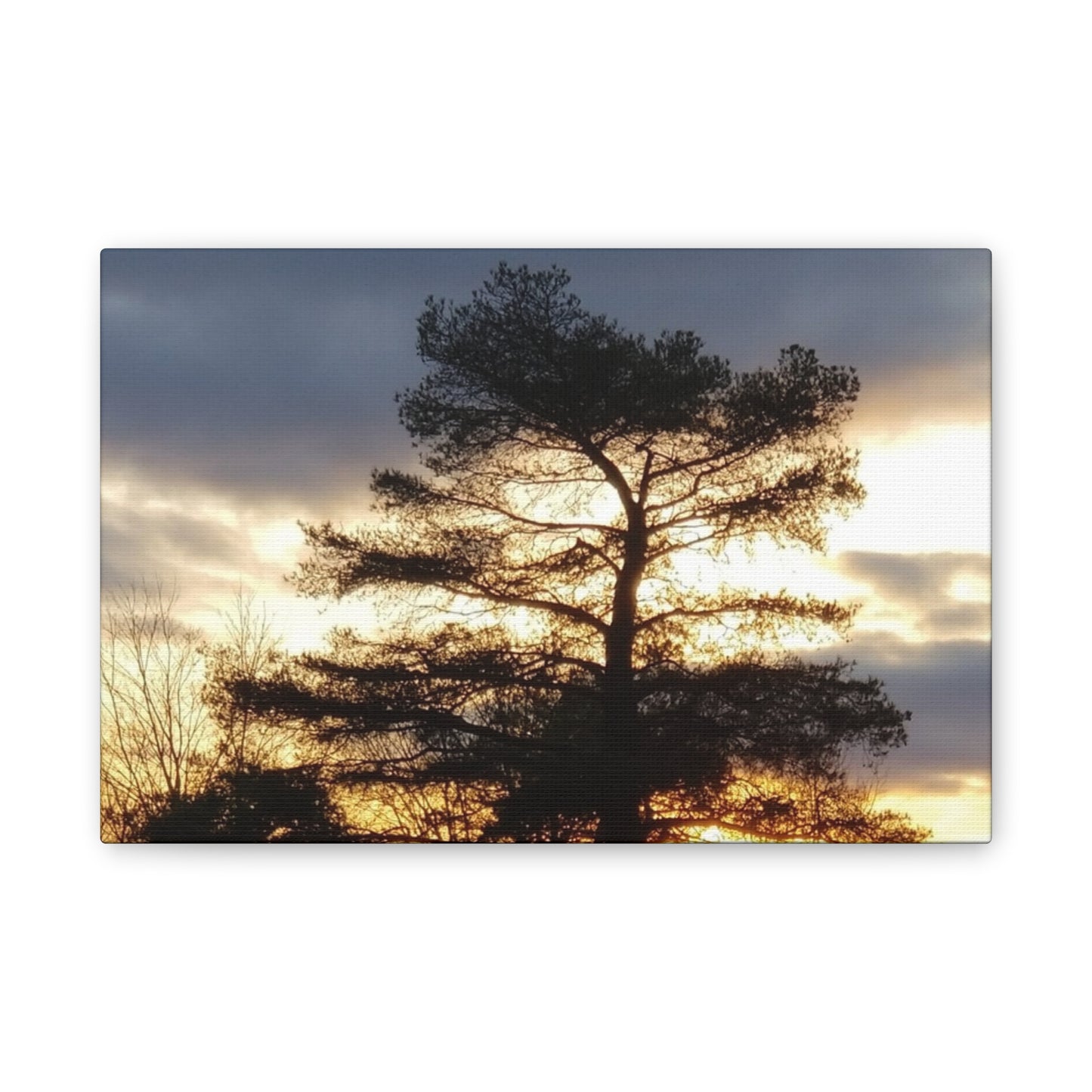 Nature-Inspired Canvases from an #originalphotograph of a Sunset Tree - 0.75" Stretched Nature Wall Decor