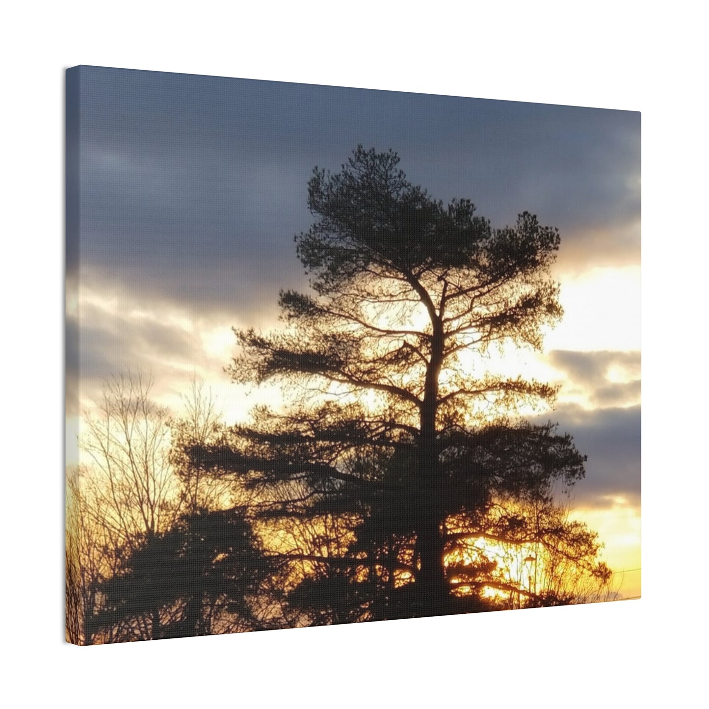 Nature-Inspired Canvases from an #originalphotograph of a Sunset Tree - 0.75" Stretched Nature Wall Decor