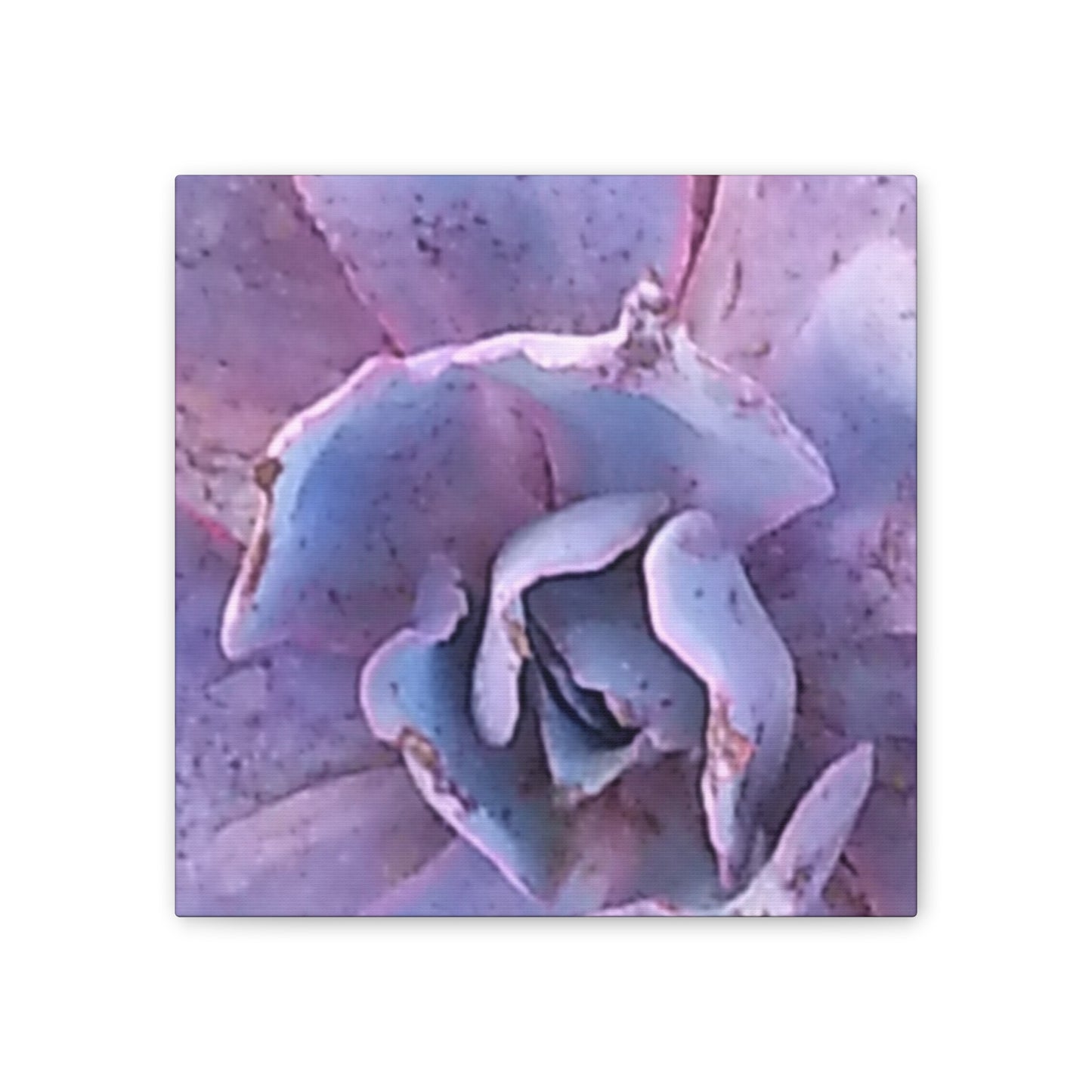 Nature-Inspired Canvases from an #originalphotograph of a botanical from #theGetty - 0.75" Stretched Nature Wall Decor