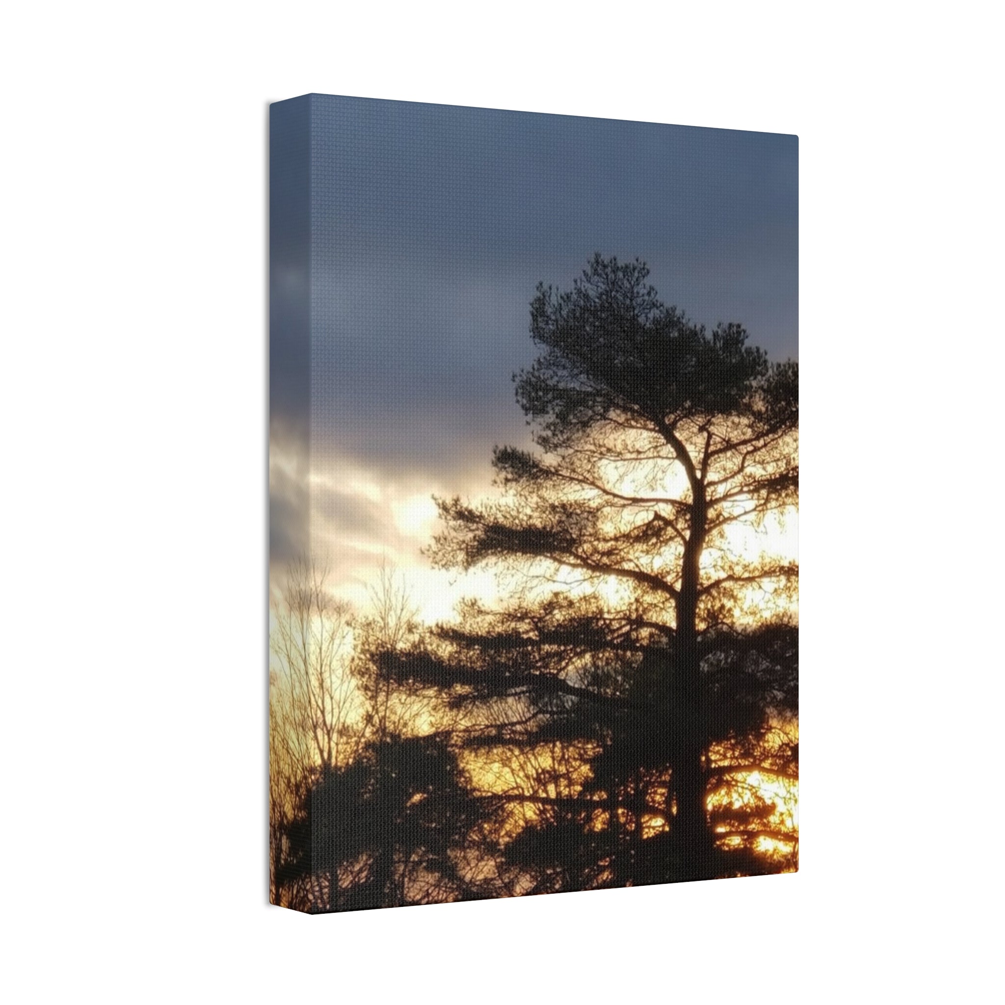 Grounded Vitality | Sunset Tree Silhouette Wall Art | The Flow Collection