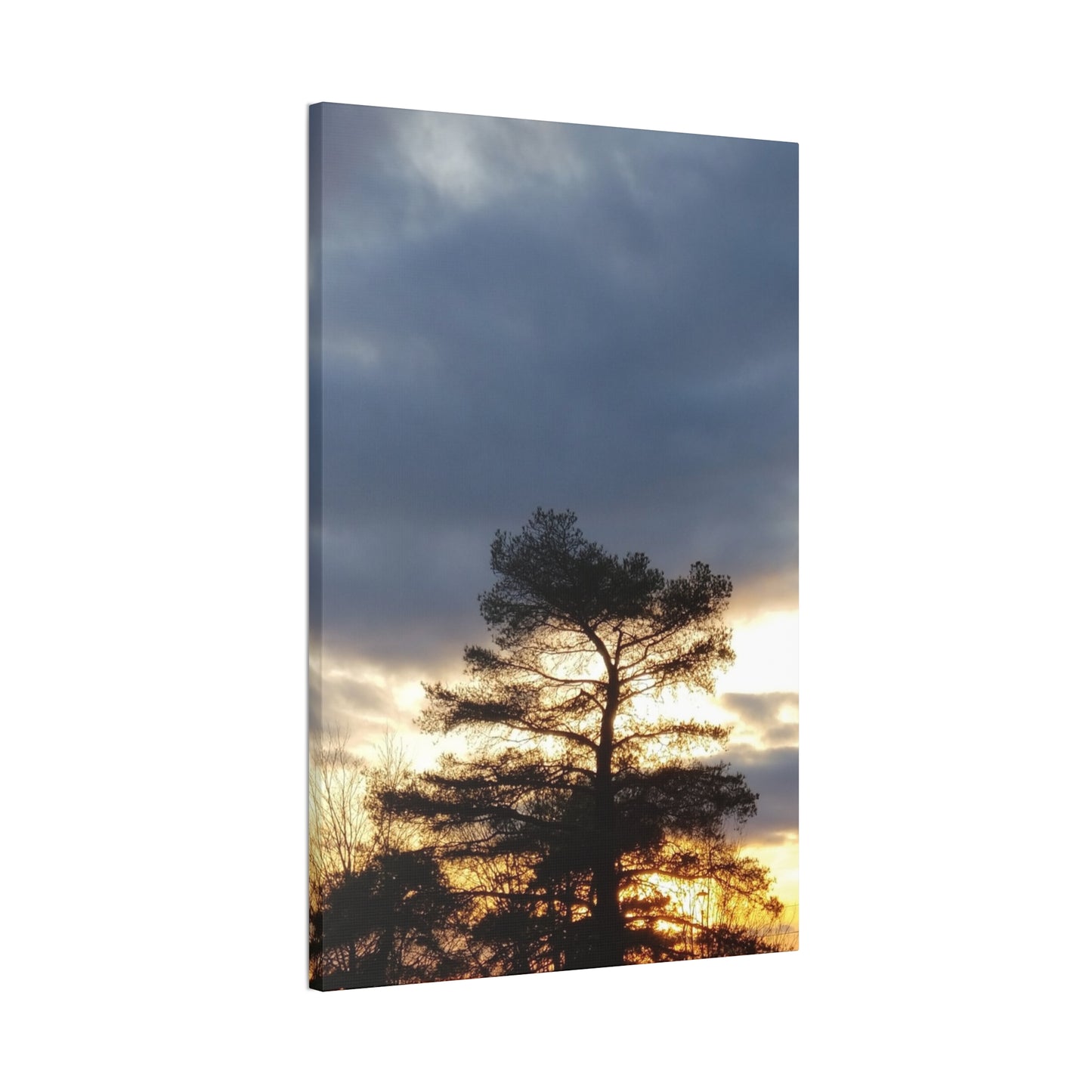 Nature-Inspired Canvases from an #originalphotograph of a Sunset Tree - 0.75" Stretched Nature Wall Decor