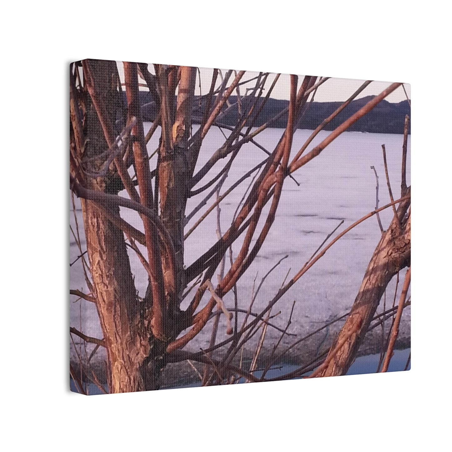 Nature-Inspired Canvases from an #originalphotograph of a Serene Lakeview with Bare Trees - 0.75" Stretched Nature Wall Decor