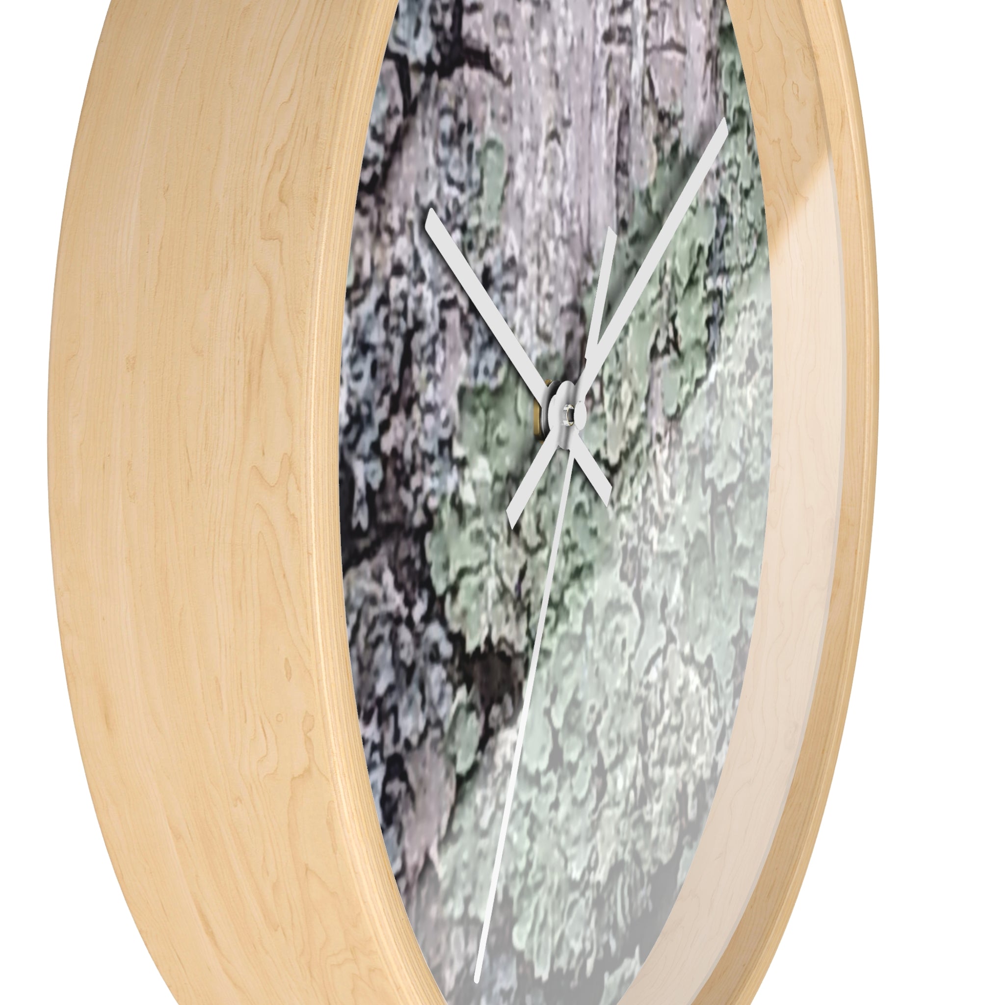Symbiotic Veneer | Intricate Lichen Growth Silent Wall Clock | The Rooted Collection