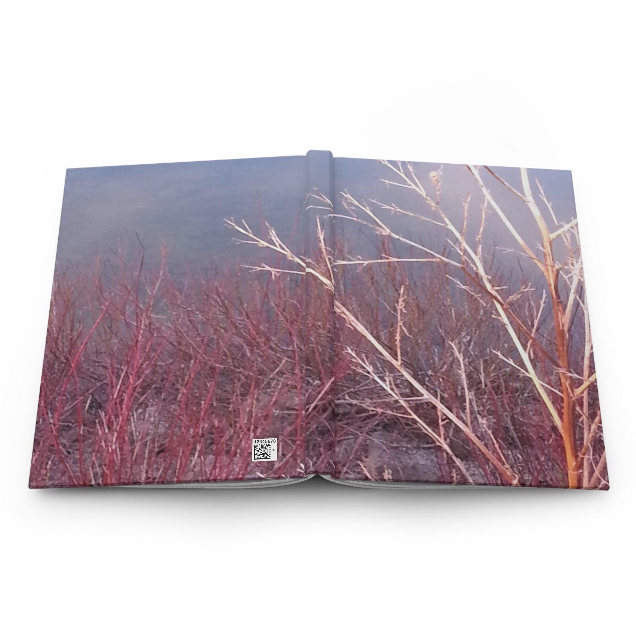 Creative Spark | Abstract Coral Fluidity Nature Journal | The Rooted Collection