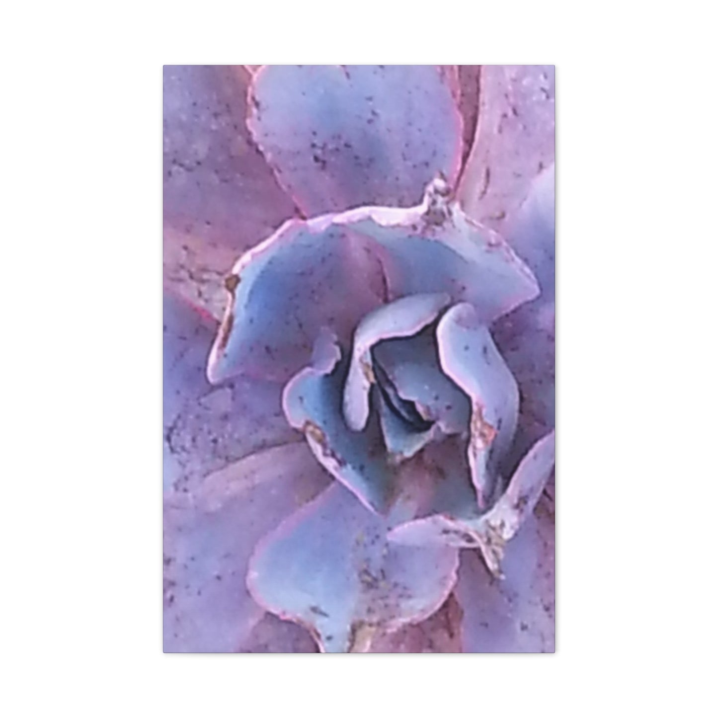 Nature-Inspired Canvases from an #originalphotograph of a botanical from #theGetty - 0.75" Stretched Nature Wall Decor