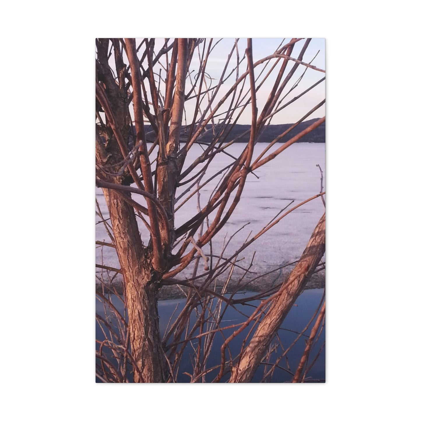 Nature-Inspired Canvases from an #originalphotograph of a Serene Lakeview with Bare Trees - 0.75" Stretched Nature Wall Decor