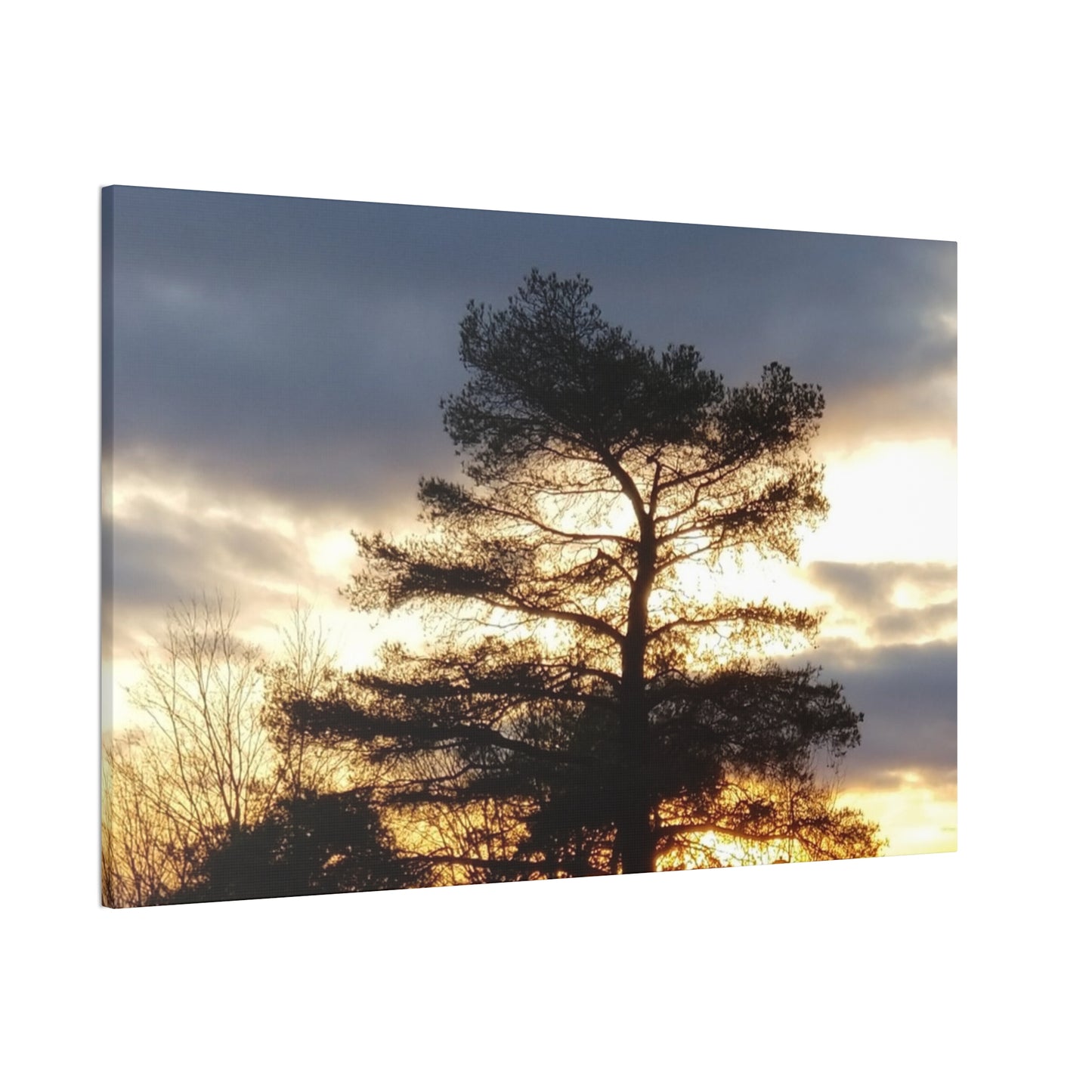 Nature-Inspired Canvases from an #originalphotograph of a Sunset Tree - 0.75" Stretched Nature Wall Decor