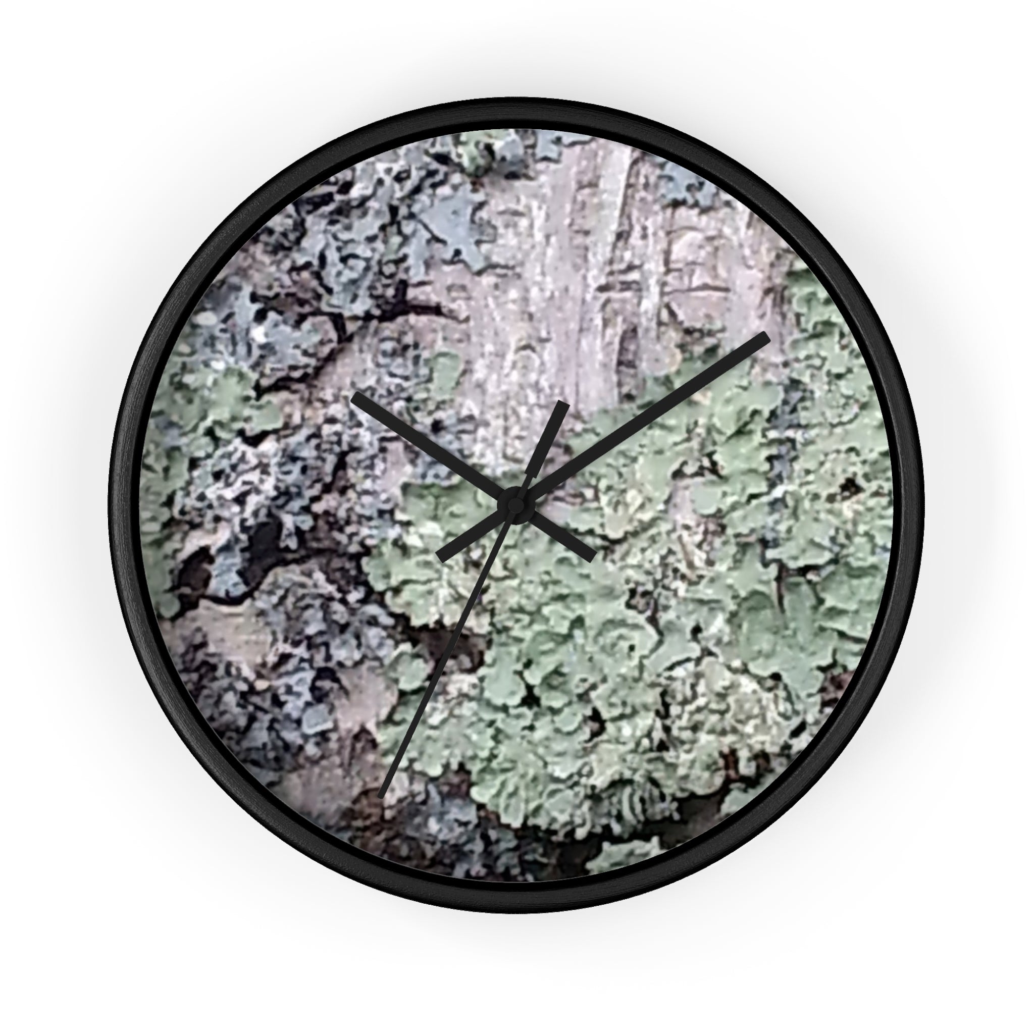 Symbiotic Veneer | Intricate Lichen Growth Silent Glass Clock | The Rooted Collection