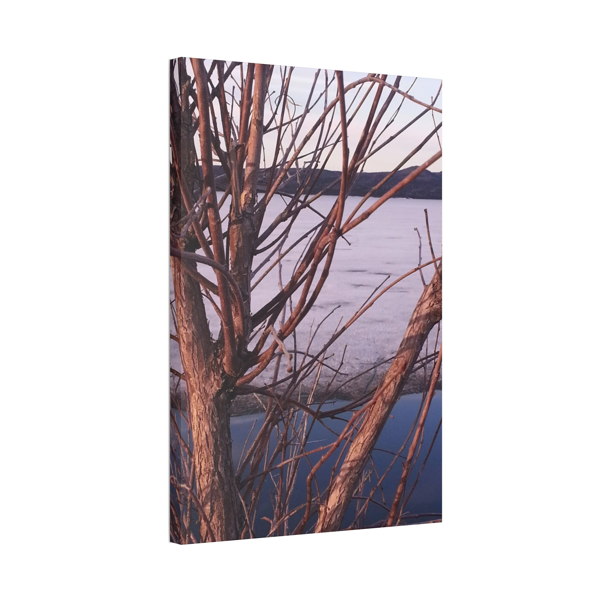 Primal Frost | Frozen Shoreline Wall Art | The Inspiration Collection