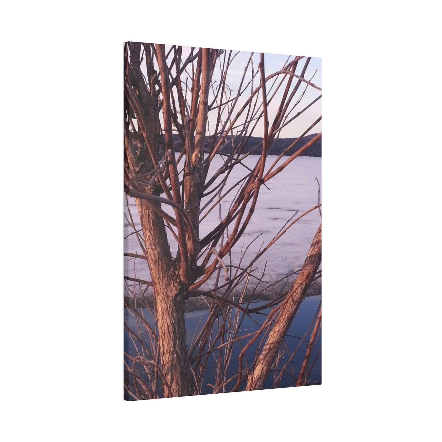 Nature-Inspired Canvases from an #originalphotograph of a Serene Lakeview with Bare Trees - 0.75" Stretched Nature Wall Decor