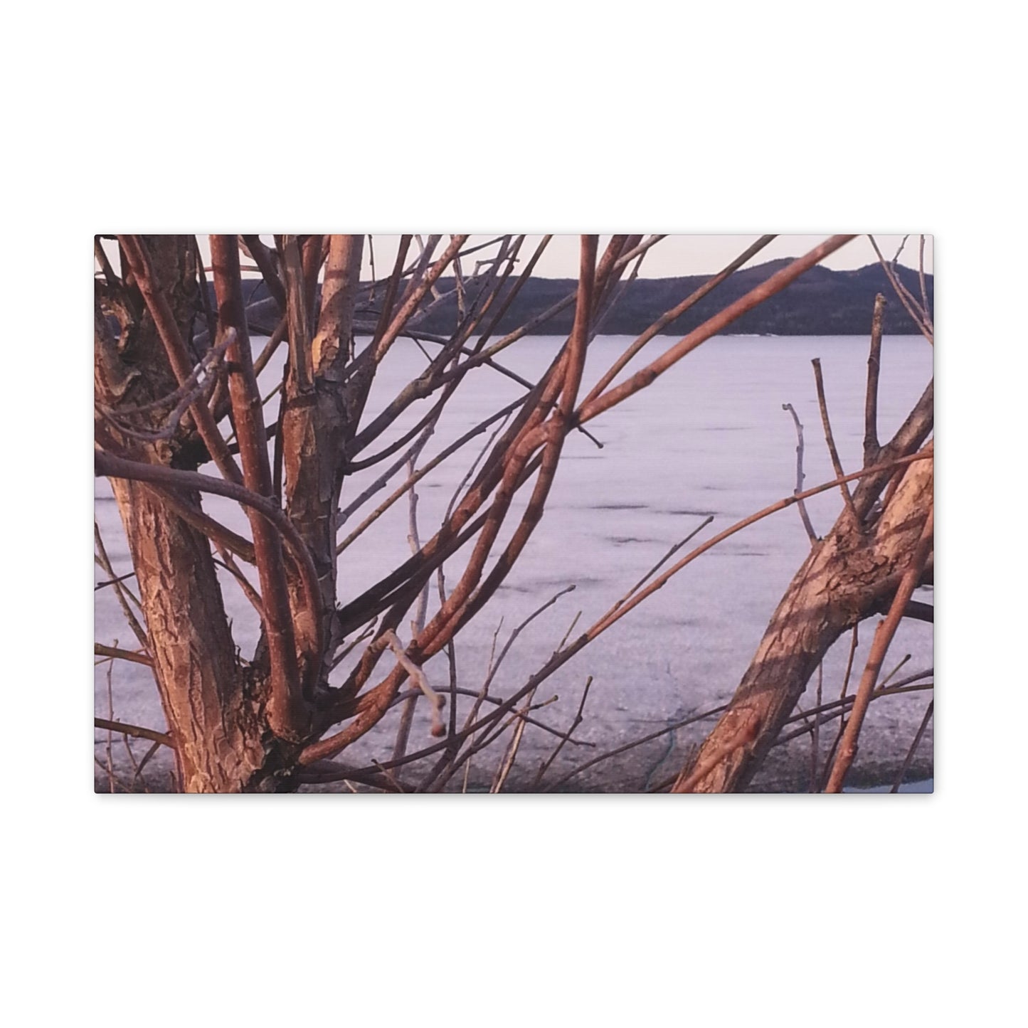 Nature-Inspired Canvases from an #originalphotograph of a Serene Lakeview with Bare Trees - 0.75" Stretched Nature Wall Decor