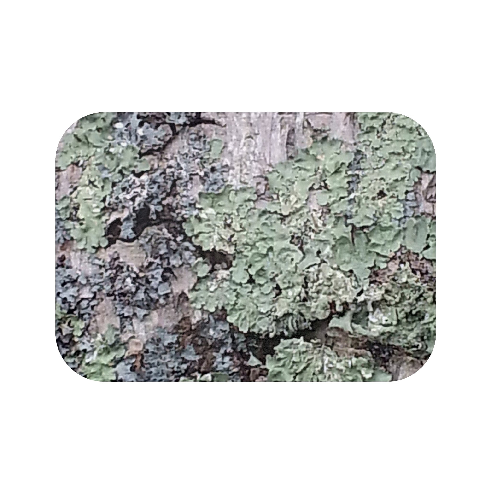 Grounded Moss | Lichen Bath Rug | The Rooted Collection