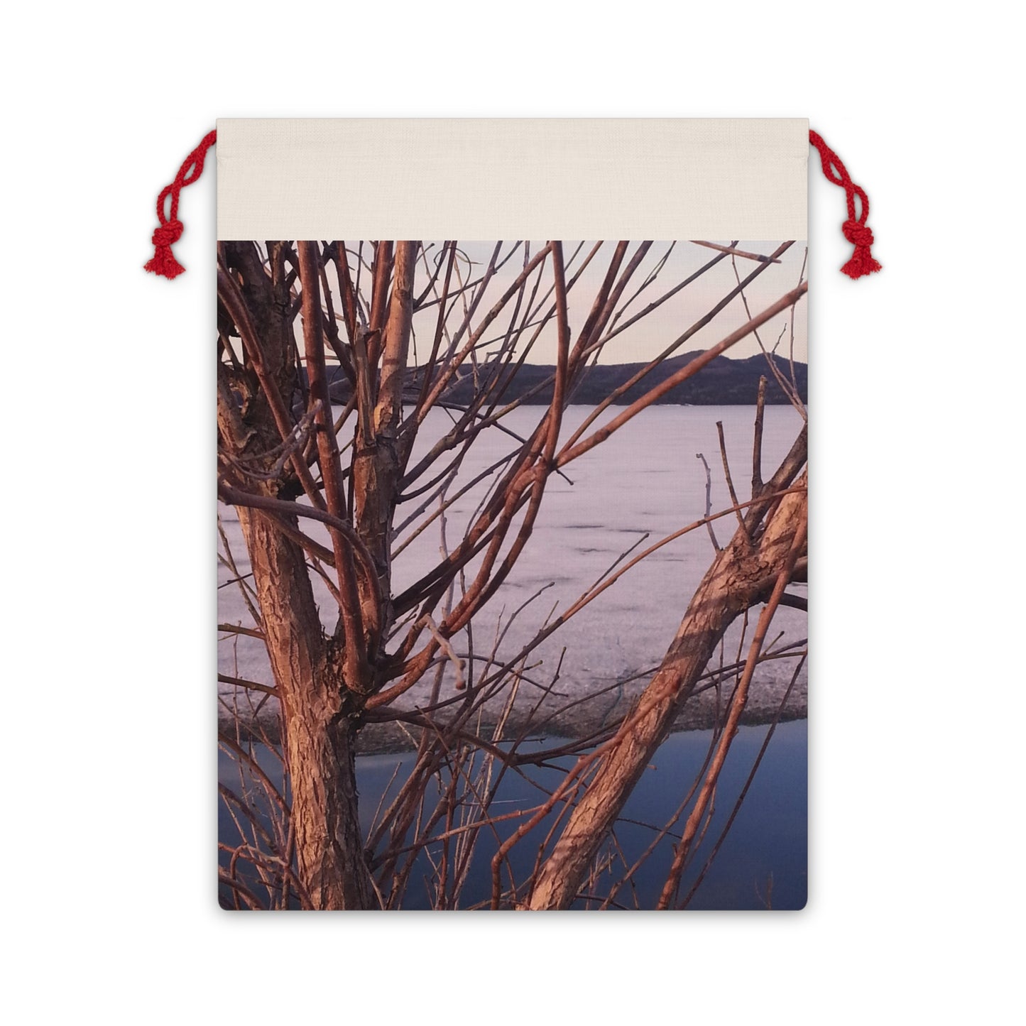 Nature-Inspired Gift Bag of Winter Branches for Eco-Friendly Gifting