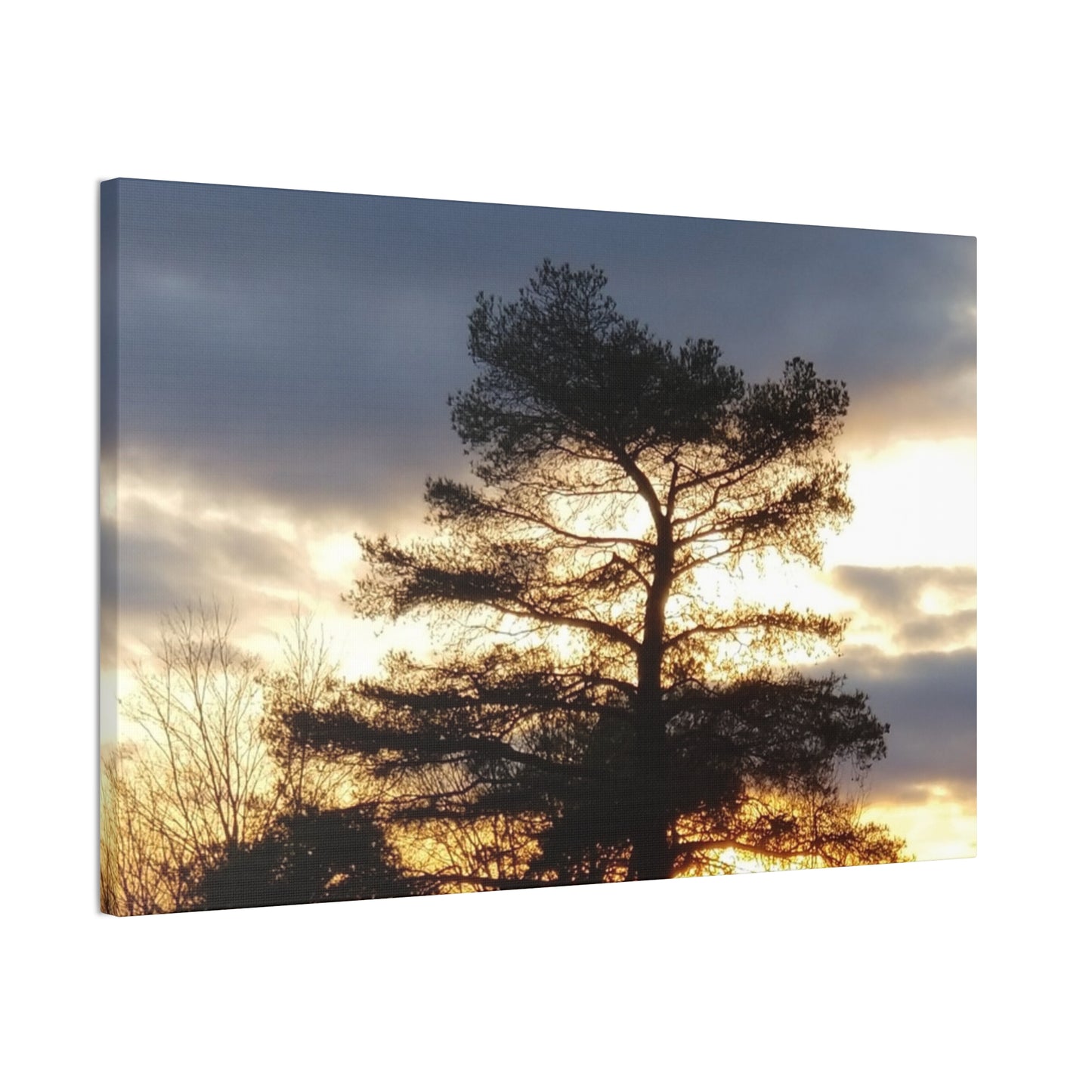 Nature-Inspired Canvases from an #originalphotograph of a Sunset Tree - 0.75" Stretched Nature Wall Decor