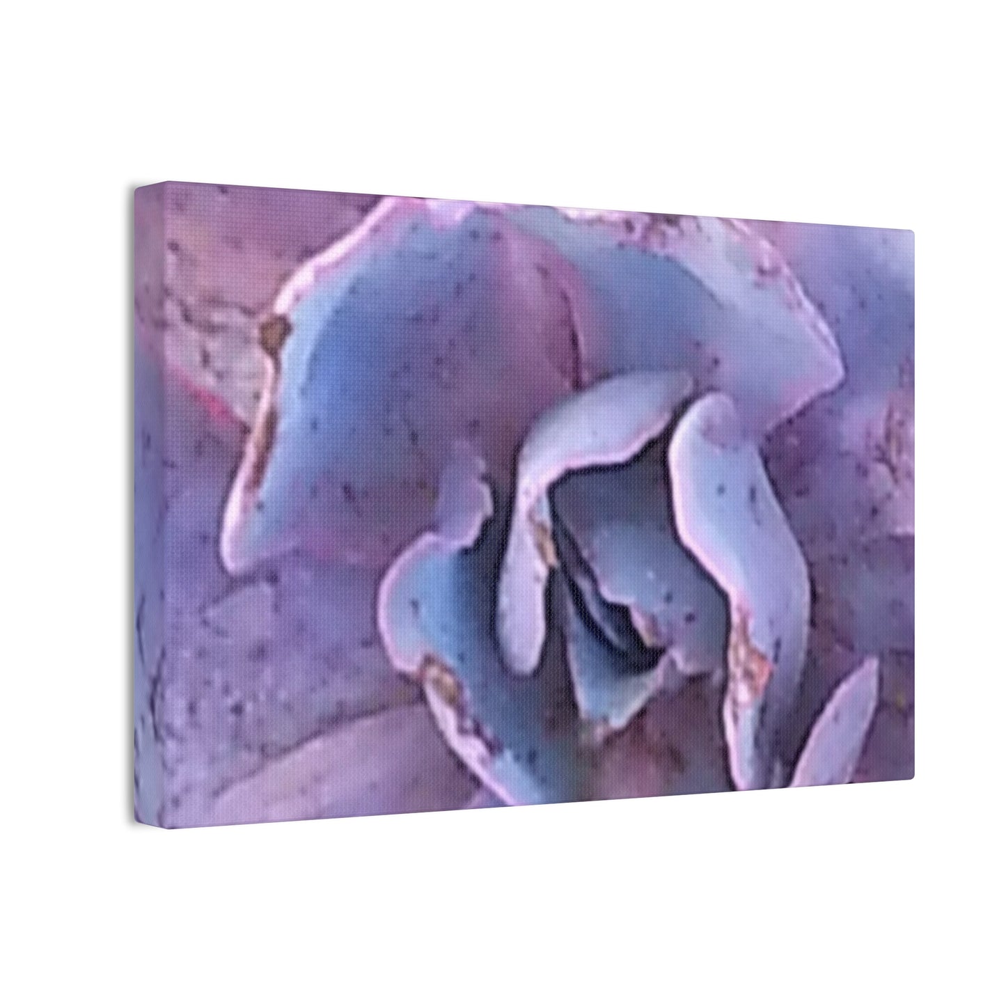 Nature-Inspired Canvases from an #originalphotograph of a botanical from #theGetty - 0.75" Stretched Nature Wall Decor