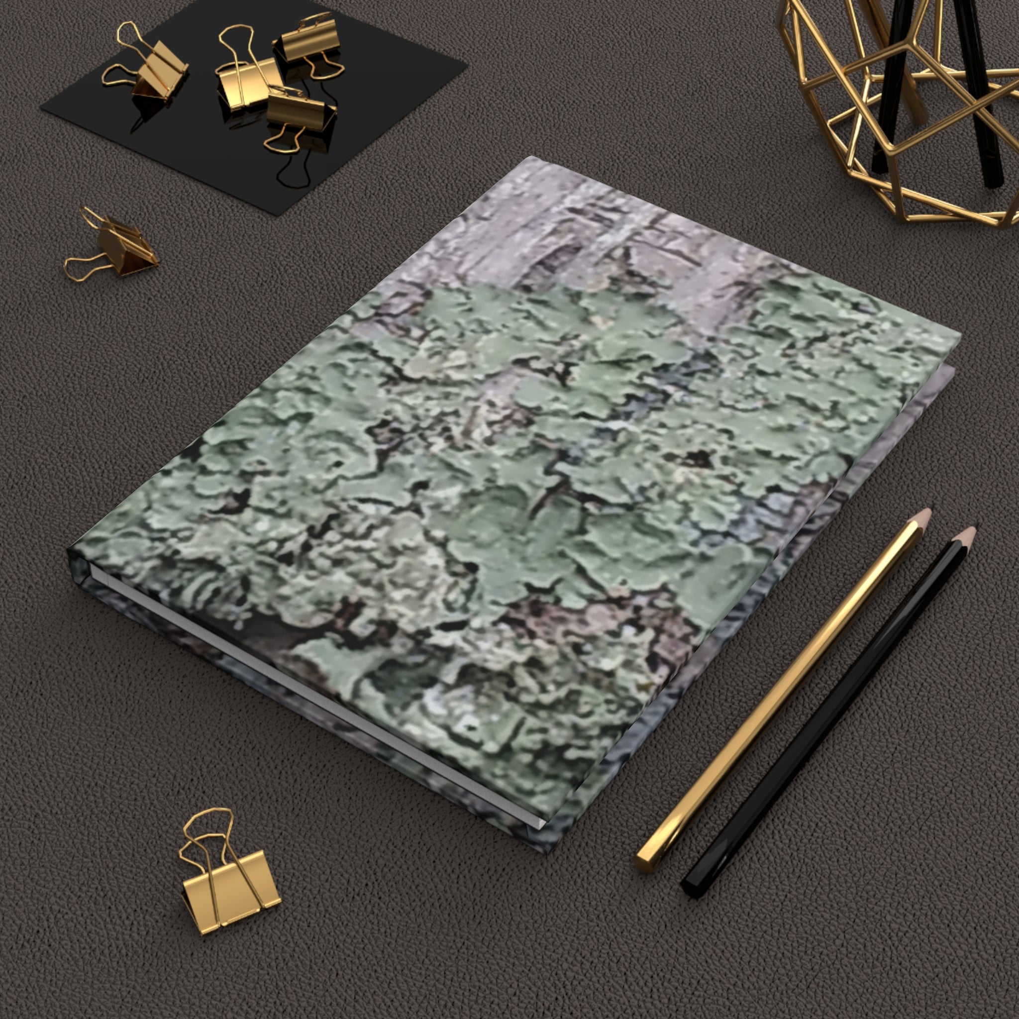 Organic Lichen | Nature Journal | The Rooted Collection