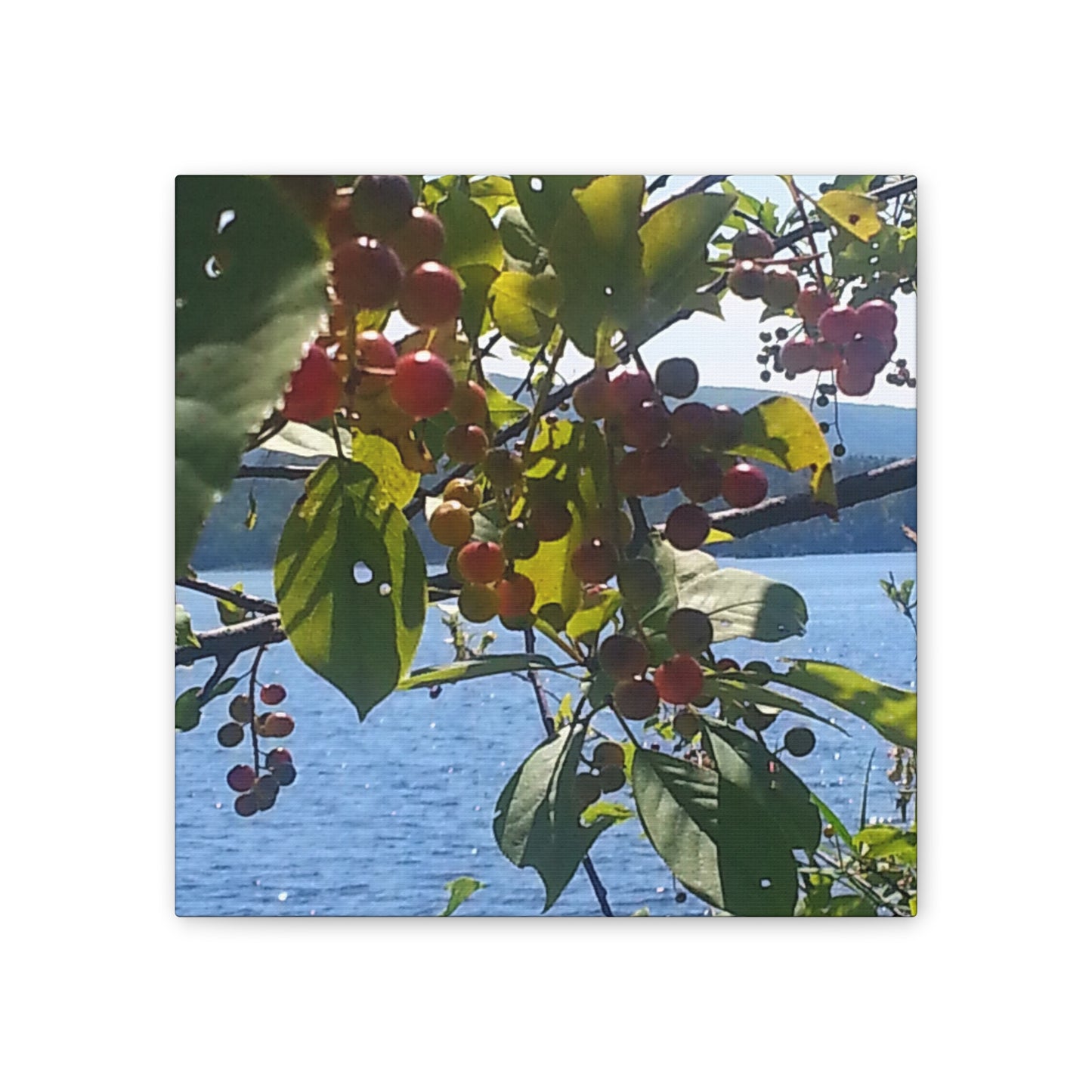 Nature-Inspired Canvases from an #originalphotograph of a Scenic Berry Branch - 0.75" Stretched Nature Wall Decor