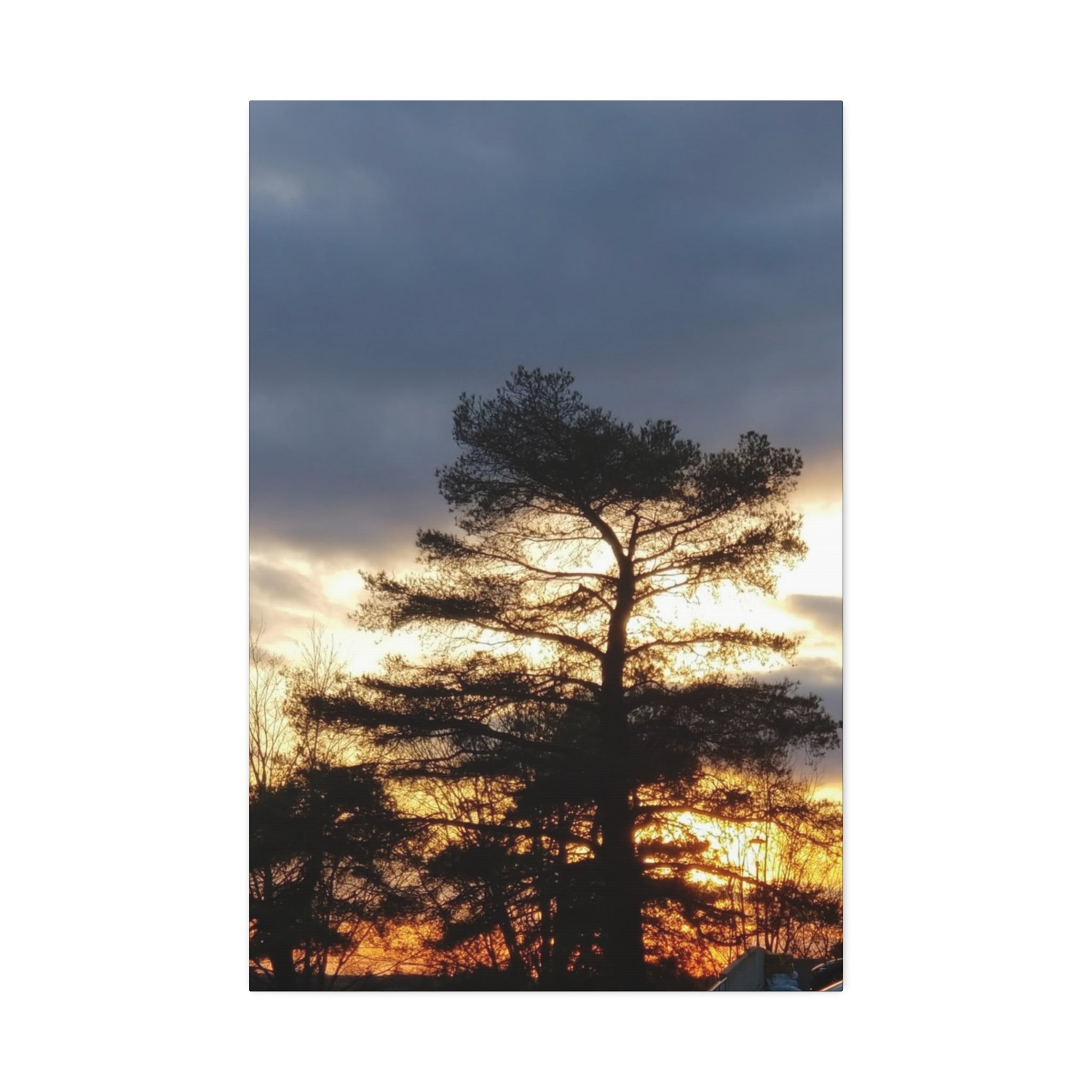 Grounded Vitality | Sunset Tree Silhouette Wall Art | The Flow Collection