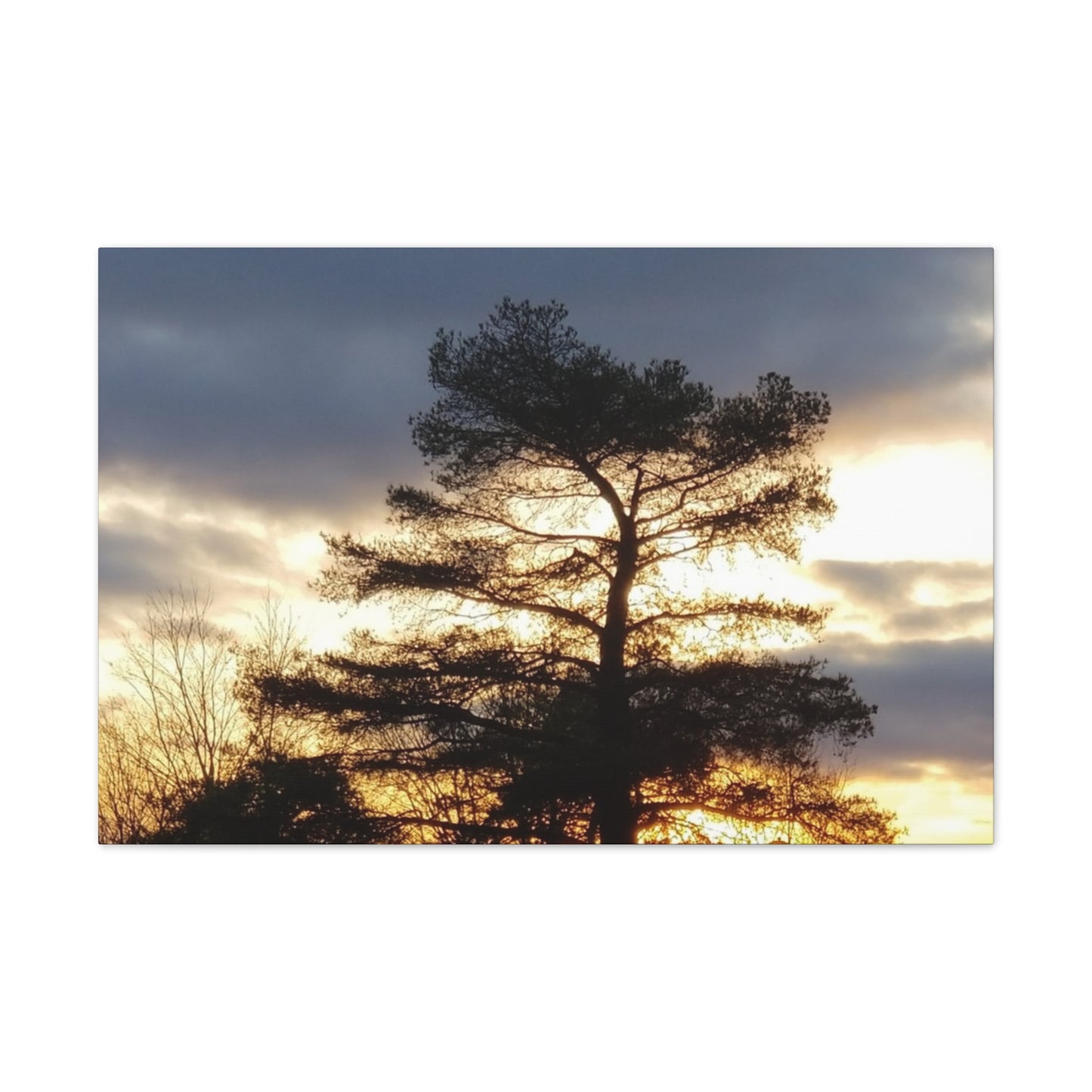 Nature-Inspired Canvases from an #originalphotograph of a Sunset Tree - 0.75" Stretched Nature Wall Decor