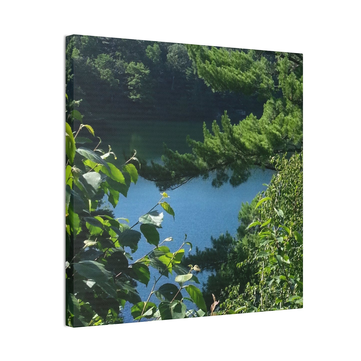 Nature-Inspired Canvases from an #originalphotograph of #PinkLake in Ontario - 0.75" Stretched Nature Wall Decor