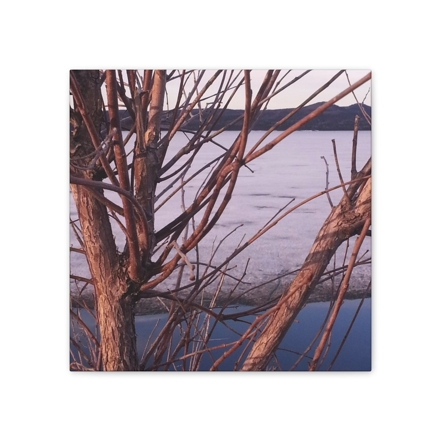 Nature-Inspired Canvases from an #originalphotograph of a Serene Lakeview with Bare Trees - 0.75" Stretched Nature Wall Decor