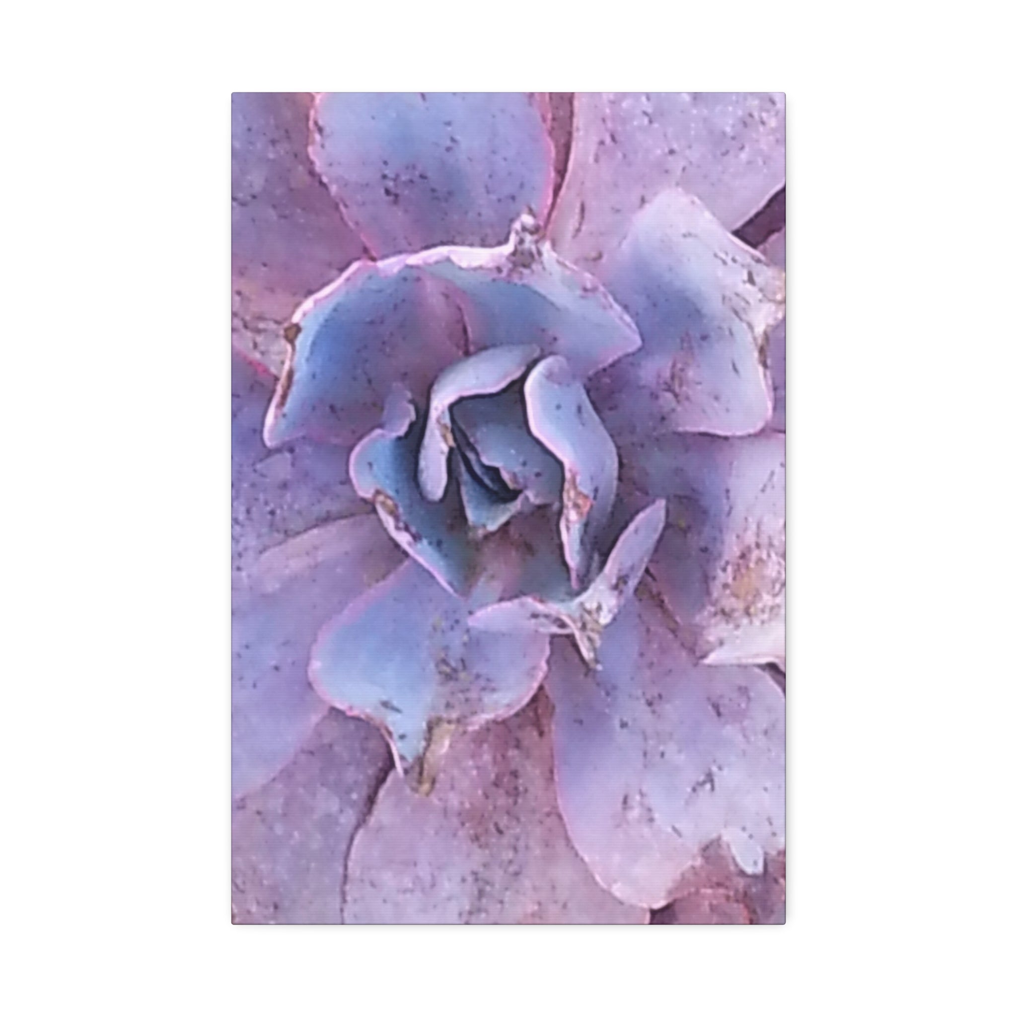 Resilient Bloom | Desert Botanical Wall Art | The Rooted Collection