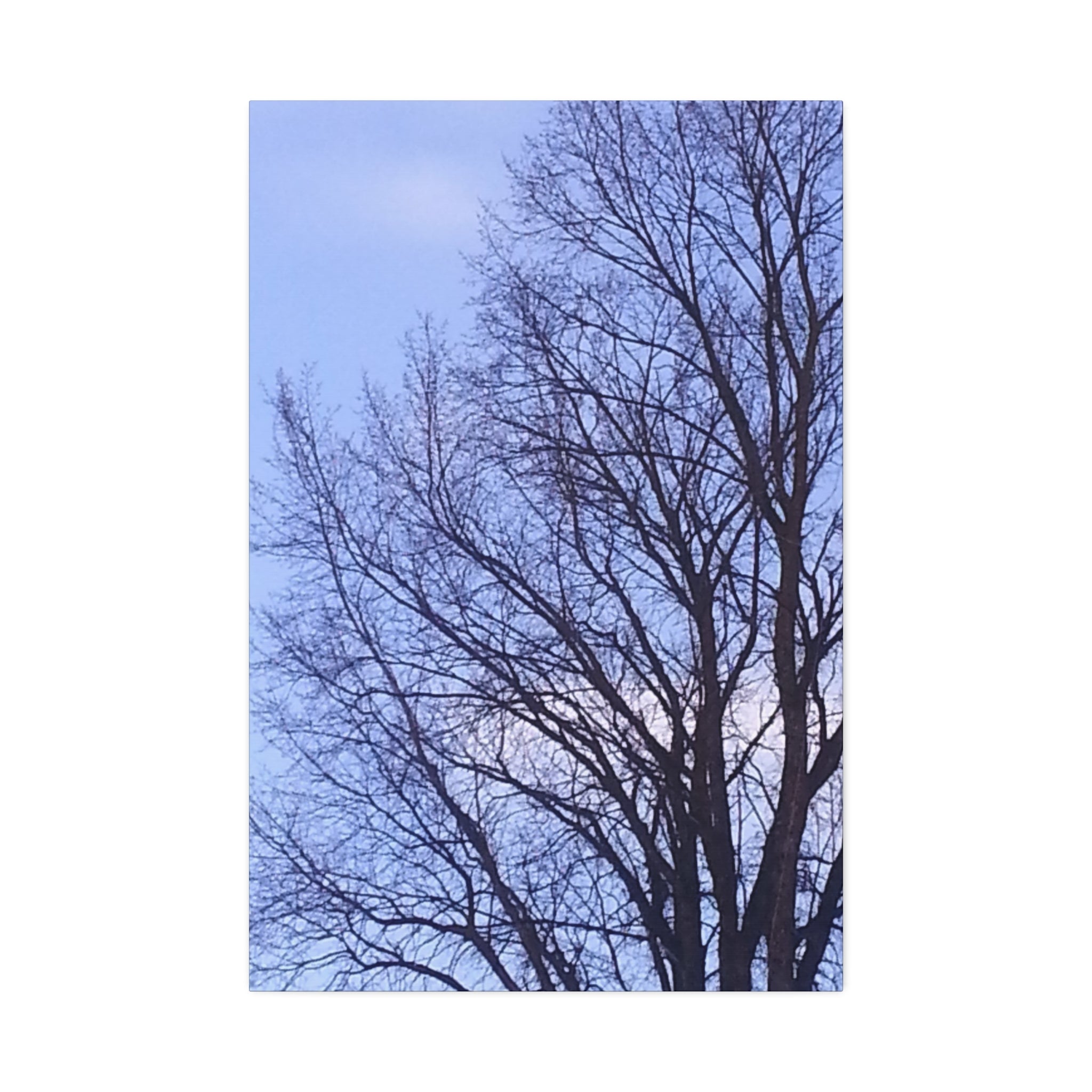 Creative Spark | Isolated Woodland Wisdom Wall Art | The Nurture Collection