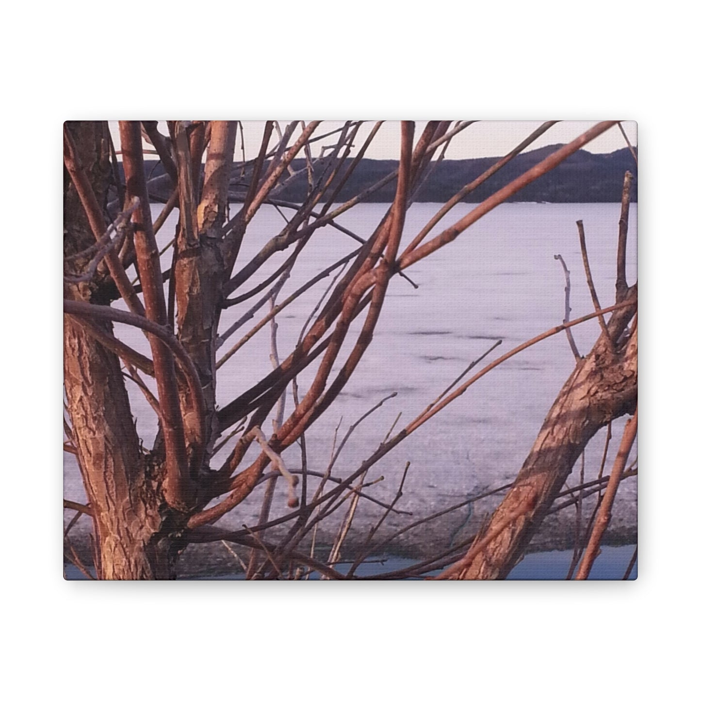 Nature-Inspired Canvases from an #originalphotograph of a Serene Lakeview with Bare Trees - 0.75" Stretched Nature Wall Decor