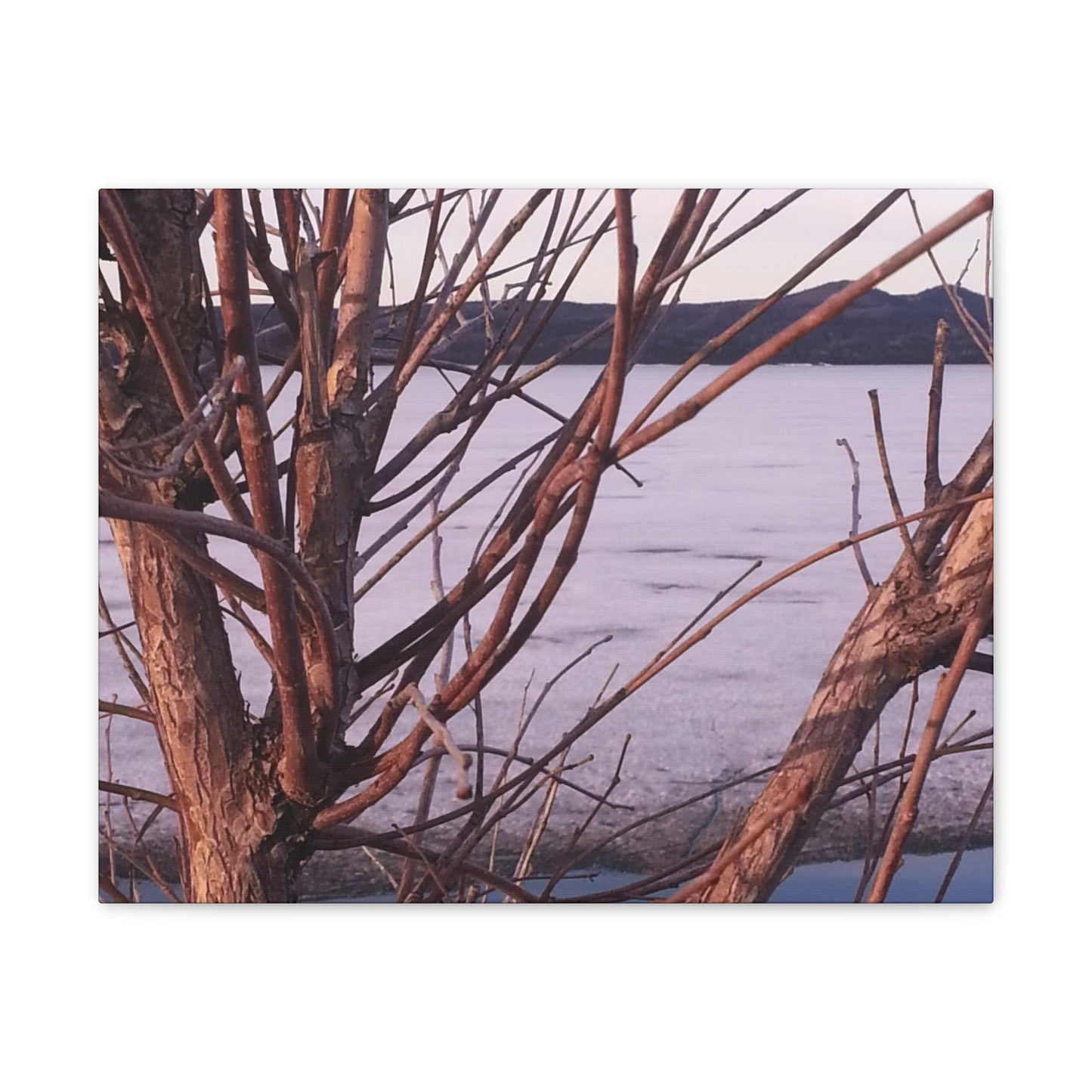 Nature-Inspired Canvases from an #originalphotograph of a Serene Lakeview with Bare Trees - 0.75" Stretched Nature Wall Decor