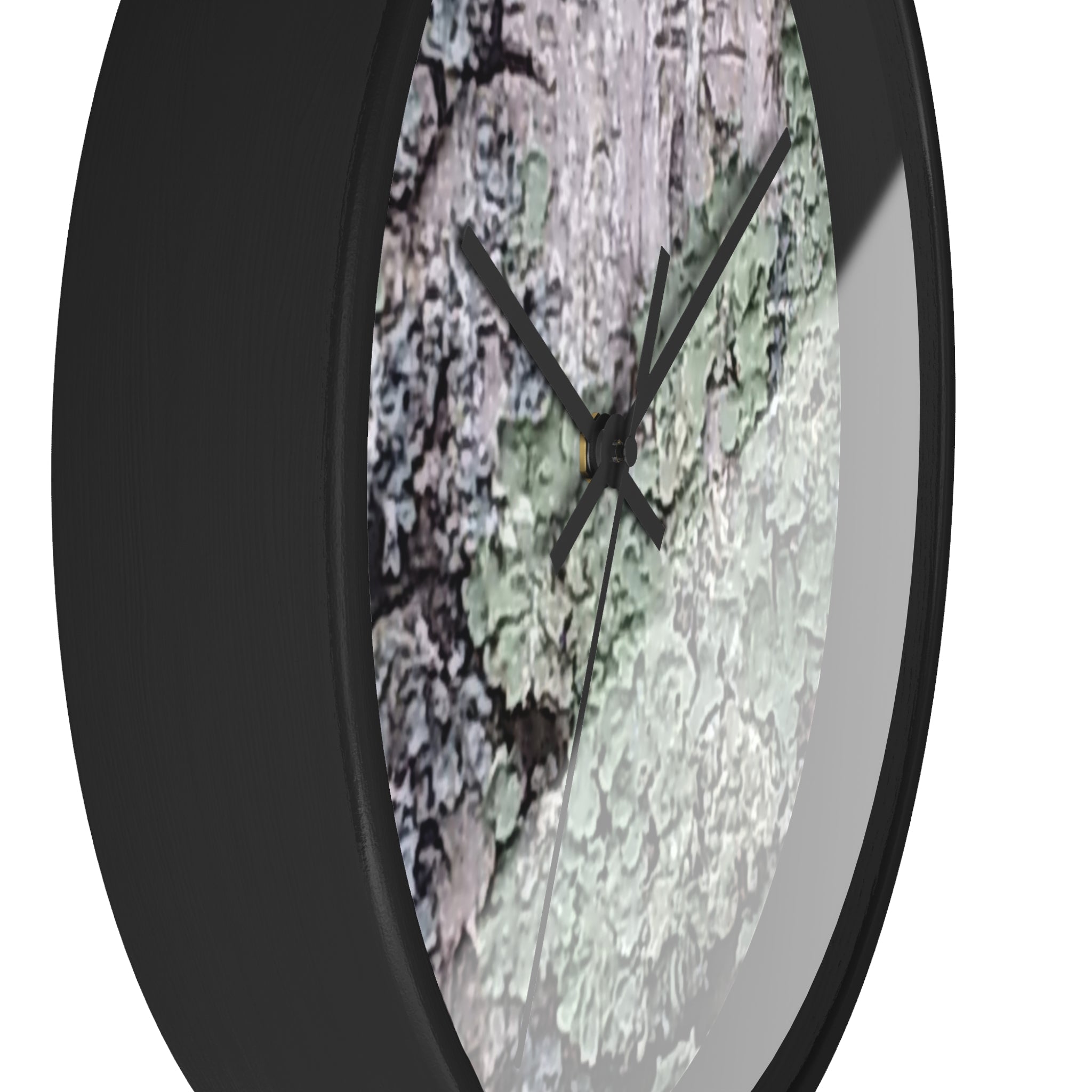 Symbiotic Veneer | Intricate Lichen Growth Silent Wall Clock | The Rooted Collection