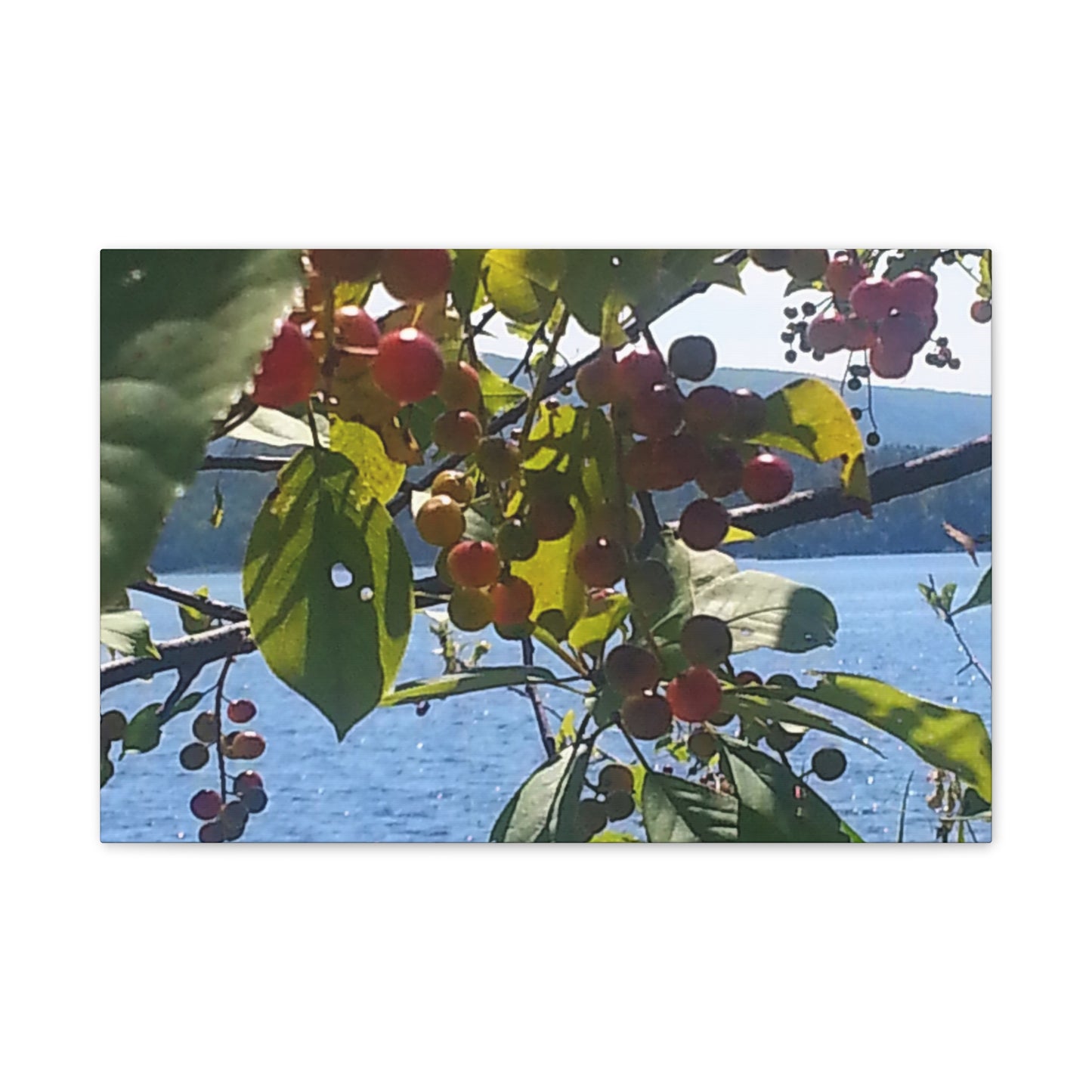Nature-Inspired Canvases from an #originalphotograph of a Scenic Berry Branch - 0.75" Stretched Nature Wall Decor