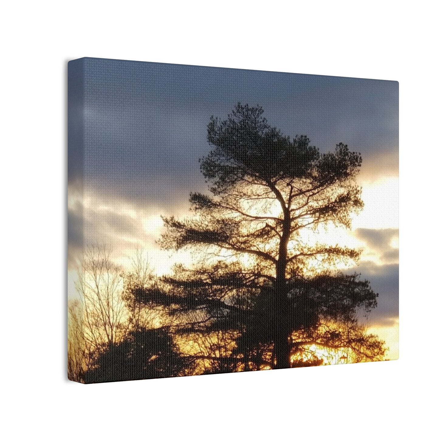 Nature-Inspired Canvases from an #originalphotograph of a Sunset Tree - 0.75" Stretched Nature Wall Decor