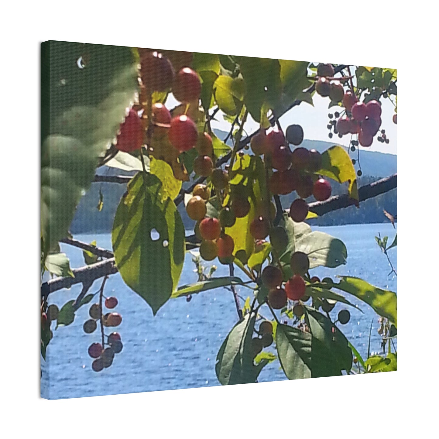 Nature-Inspired Canvases from an #originalphotograph of a Scenic Berry Branch - 0.75" Stretched Nature Wall Decor