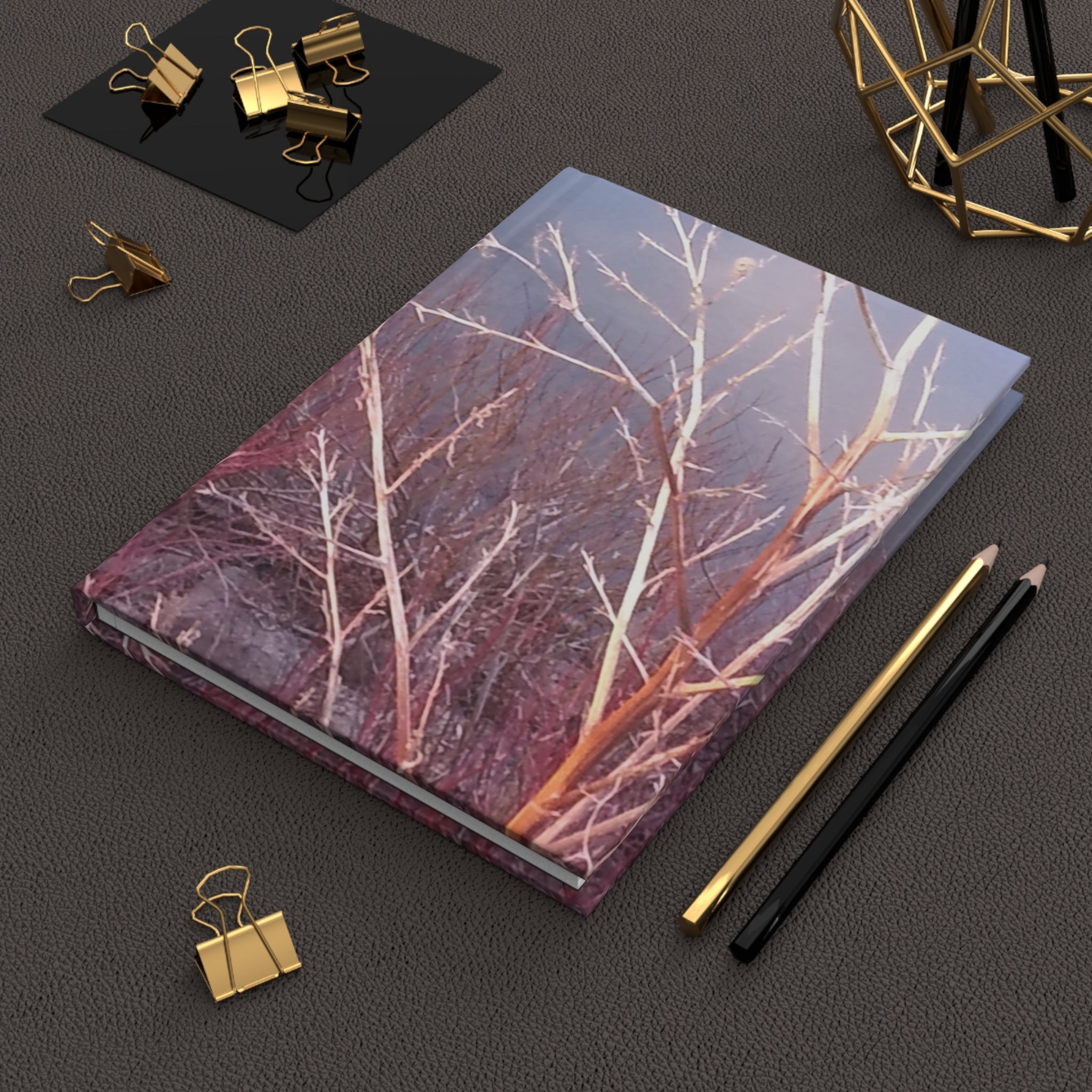 Creative Spark | Abstract Coral Fluidity Nature Journal | The Rooted Collection