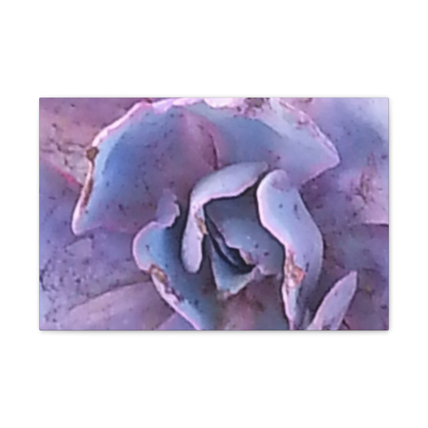 Nature-Inspired Canvases from an #originalphotograph of a botanical from #theGetty - 0.75" Stretched Nature Wall Decor