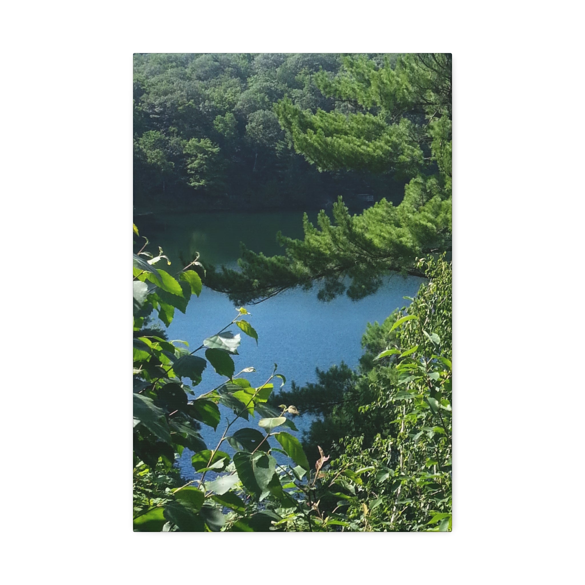 Lakeside Root | Still Water Reflection Wall Art | The Rooted Collection