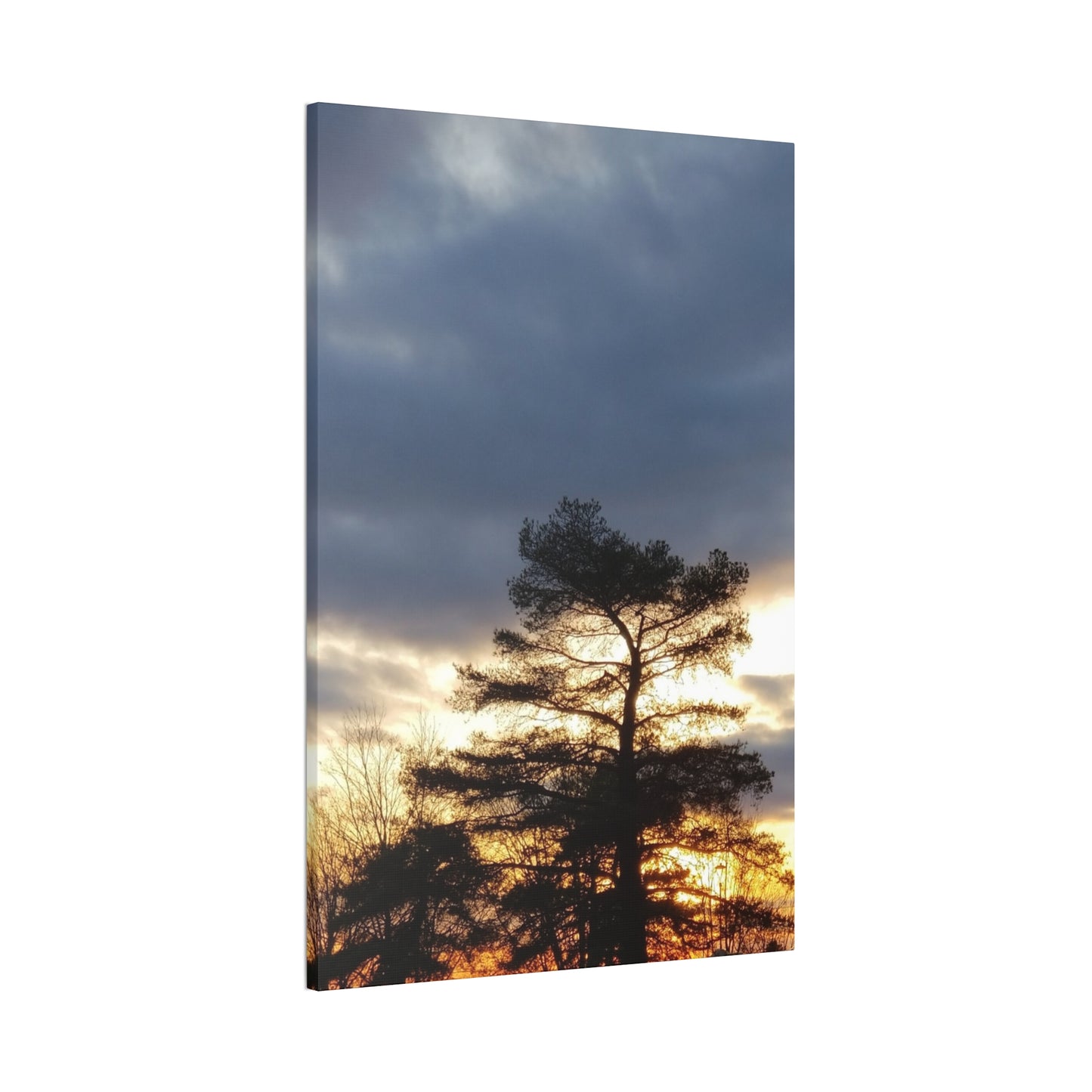 Nature-Inspired Canvases from an #originalphotograph of a Sunset Tree - 0.75" Stretched Nature Wall Decor
