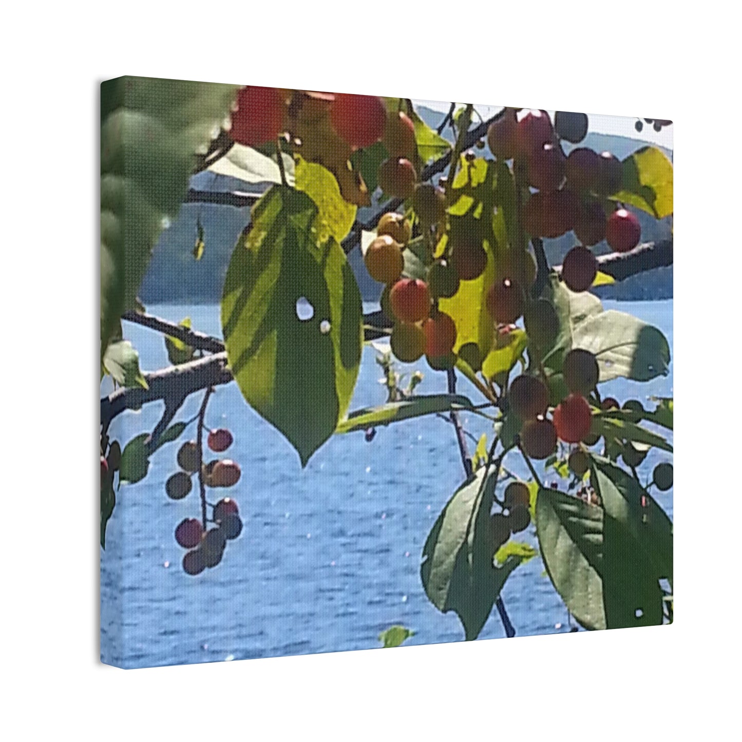 Canvas Art  Nature-Inspired - Scenic Berry Branch