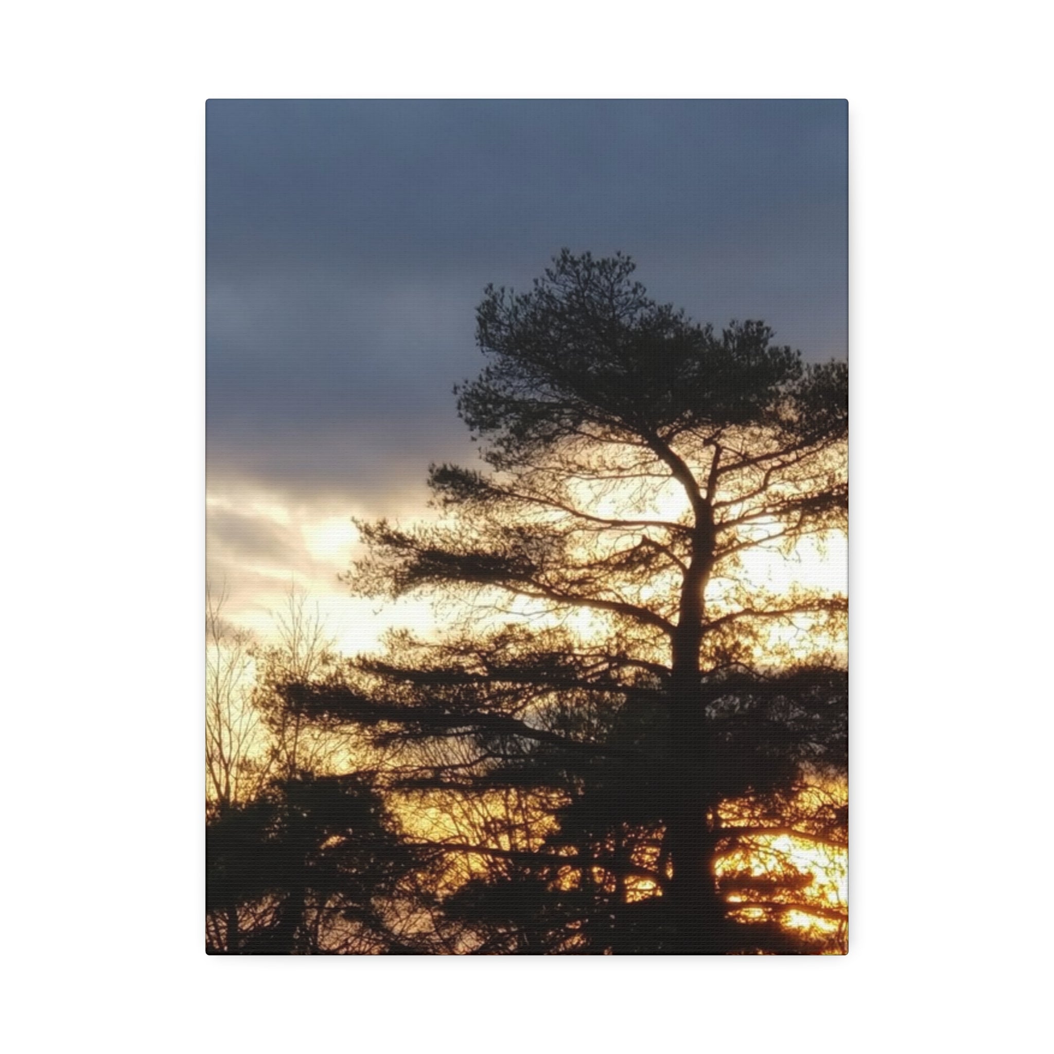 Grounded Vitality | Sunset Tree Silhouette Wall Art | The Flow Collection