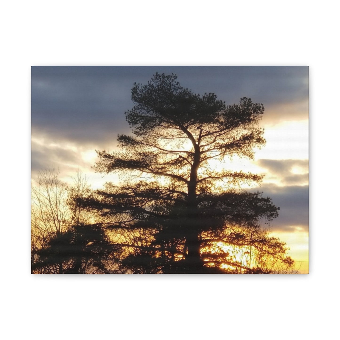 Canvas Art Print - Sunset Tree